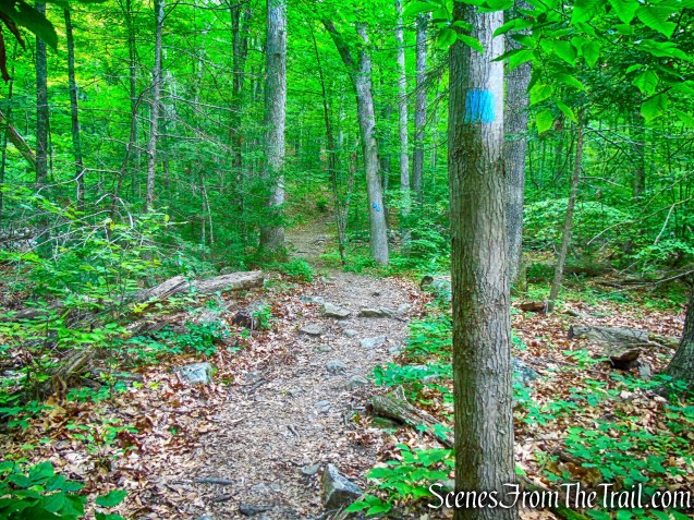 High Peter's Kill Trail