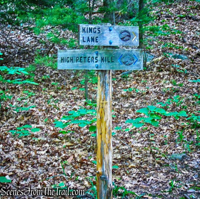 junction with the King's Lane Trail