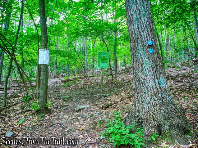 High Peter's Kill Trail