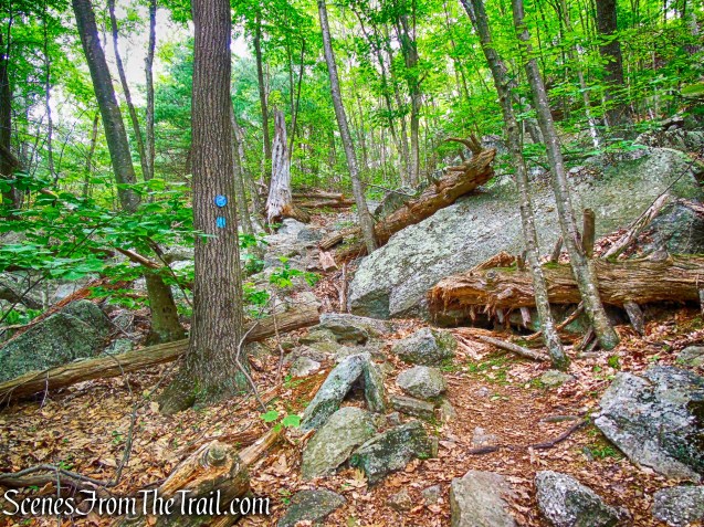 High Peter's Kill Trail