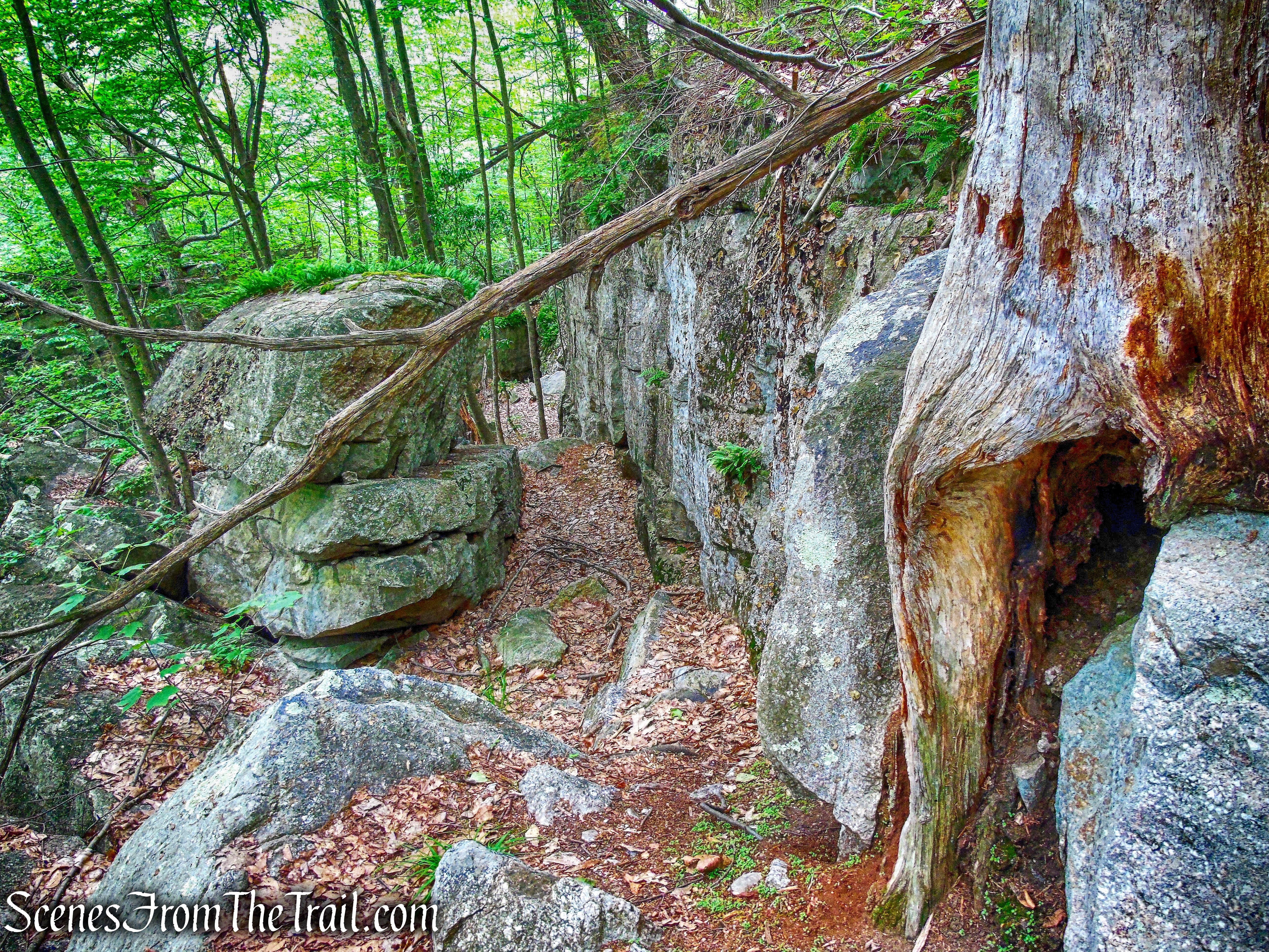 High Peter's Kill Trail