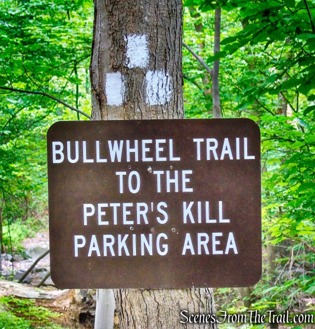 Bull Wheel Trail