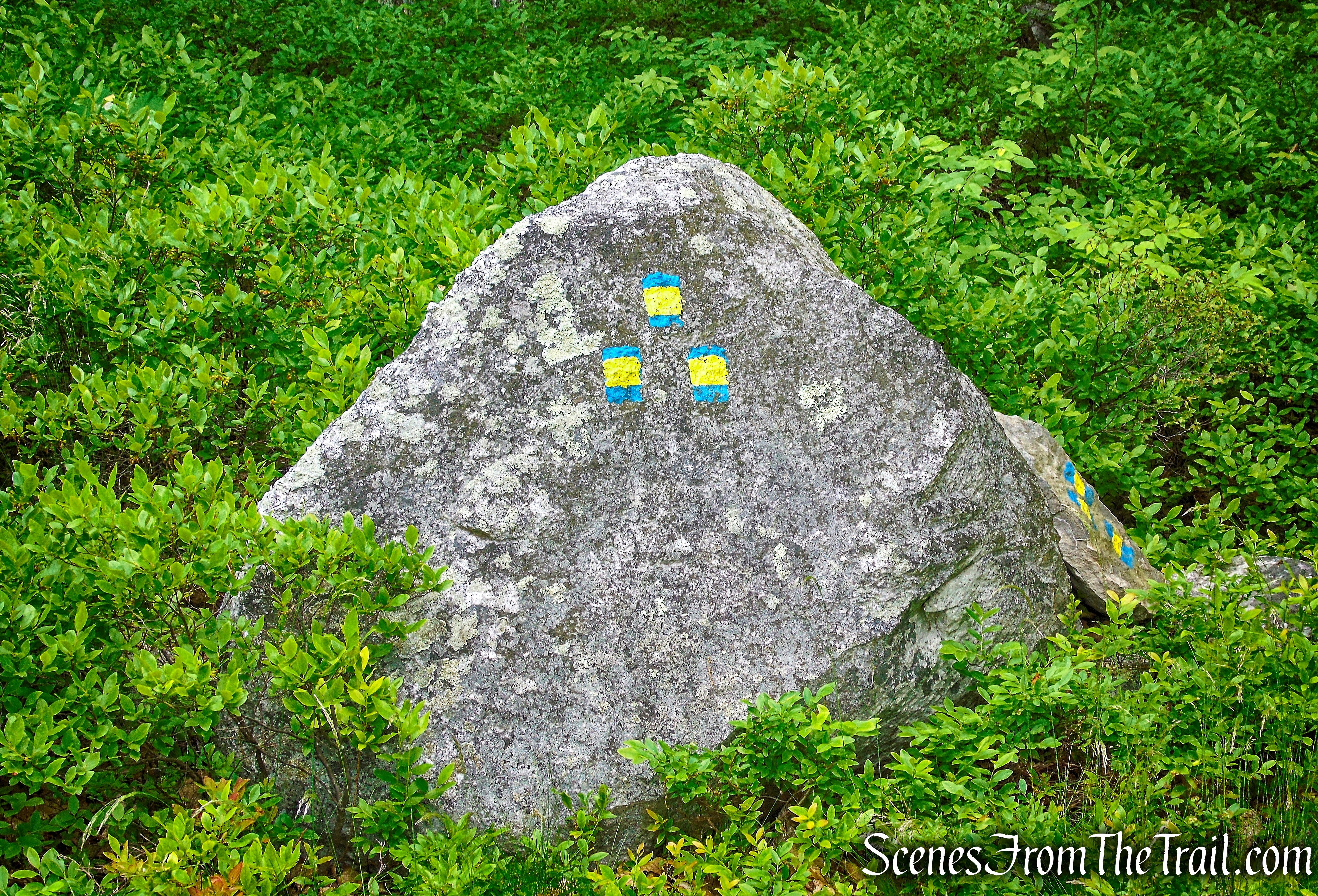 rock climbing and bouldering trail