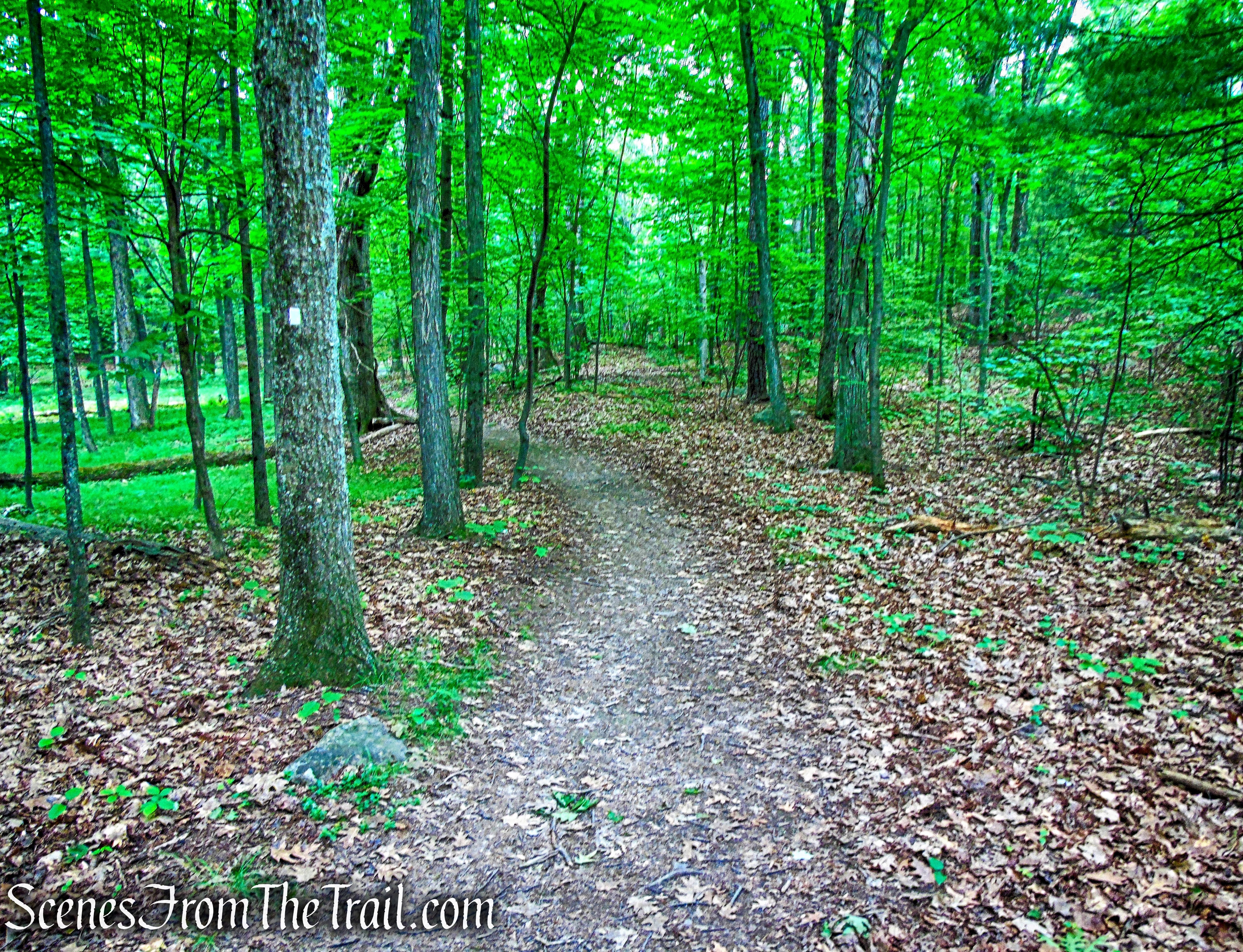 Awosting Falls Connector Footpath