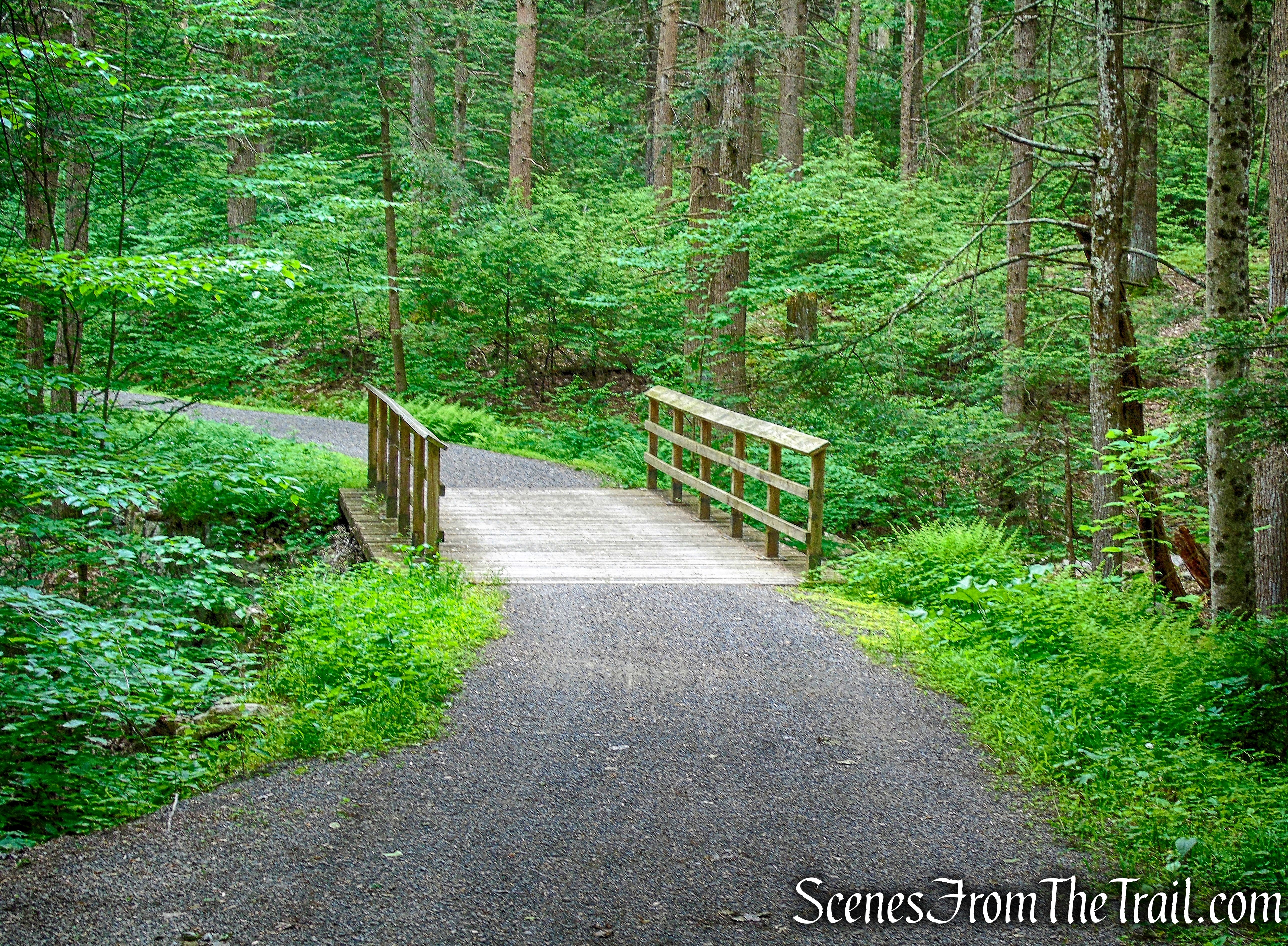 wooden bridge - Trapps Road