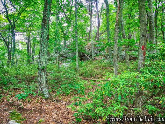 terminus of Bayards Path