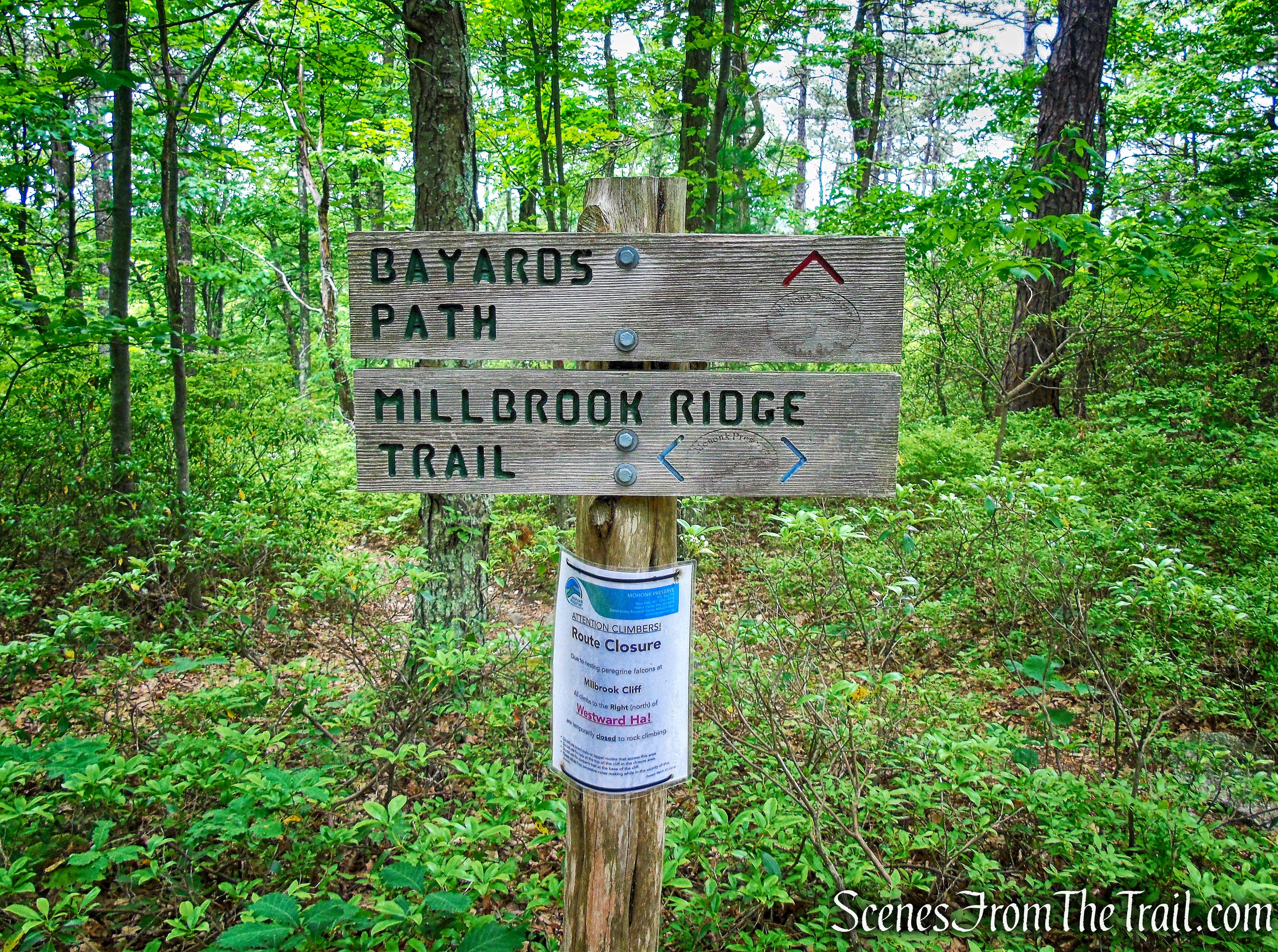 Millbrook Ridge Trail
