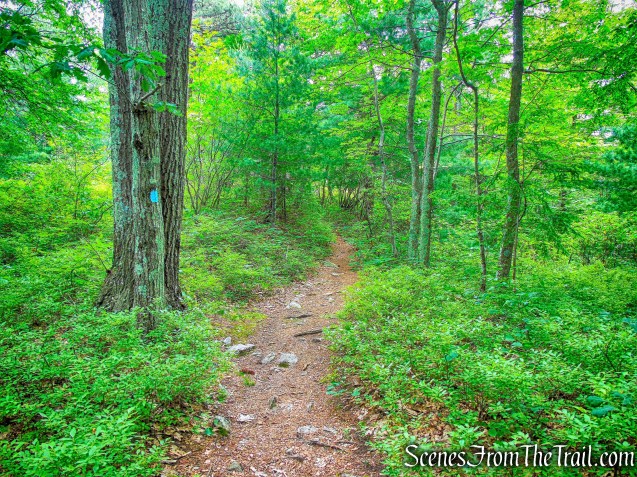 Millbrook Ridge Trail
