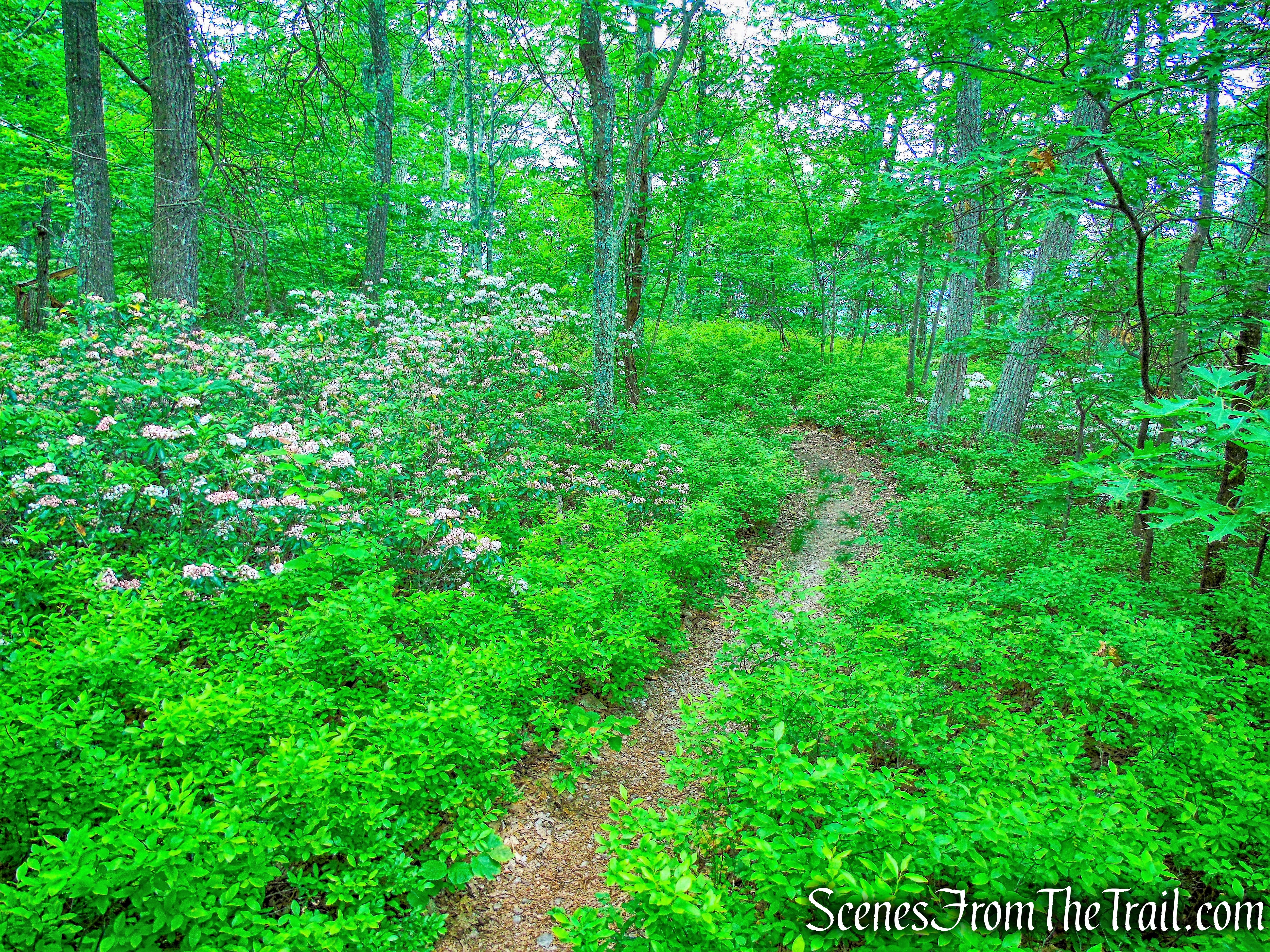 Millbrook Ridge Trail