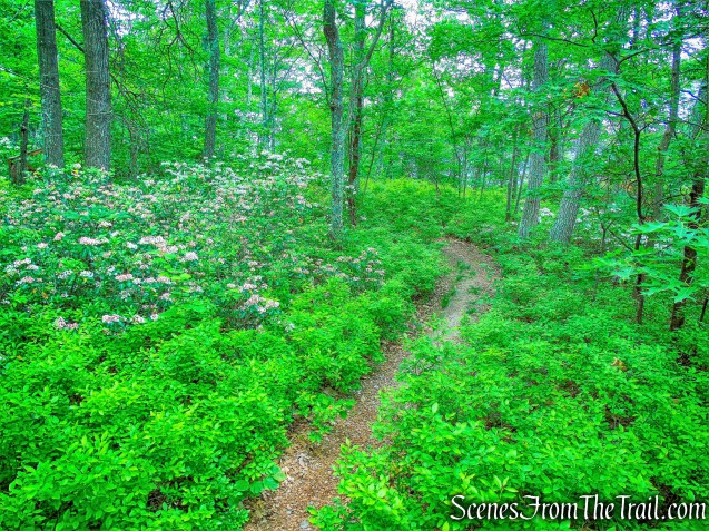 Millbrook Ridge Trail