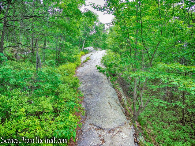Millbrook Ridge Trail