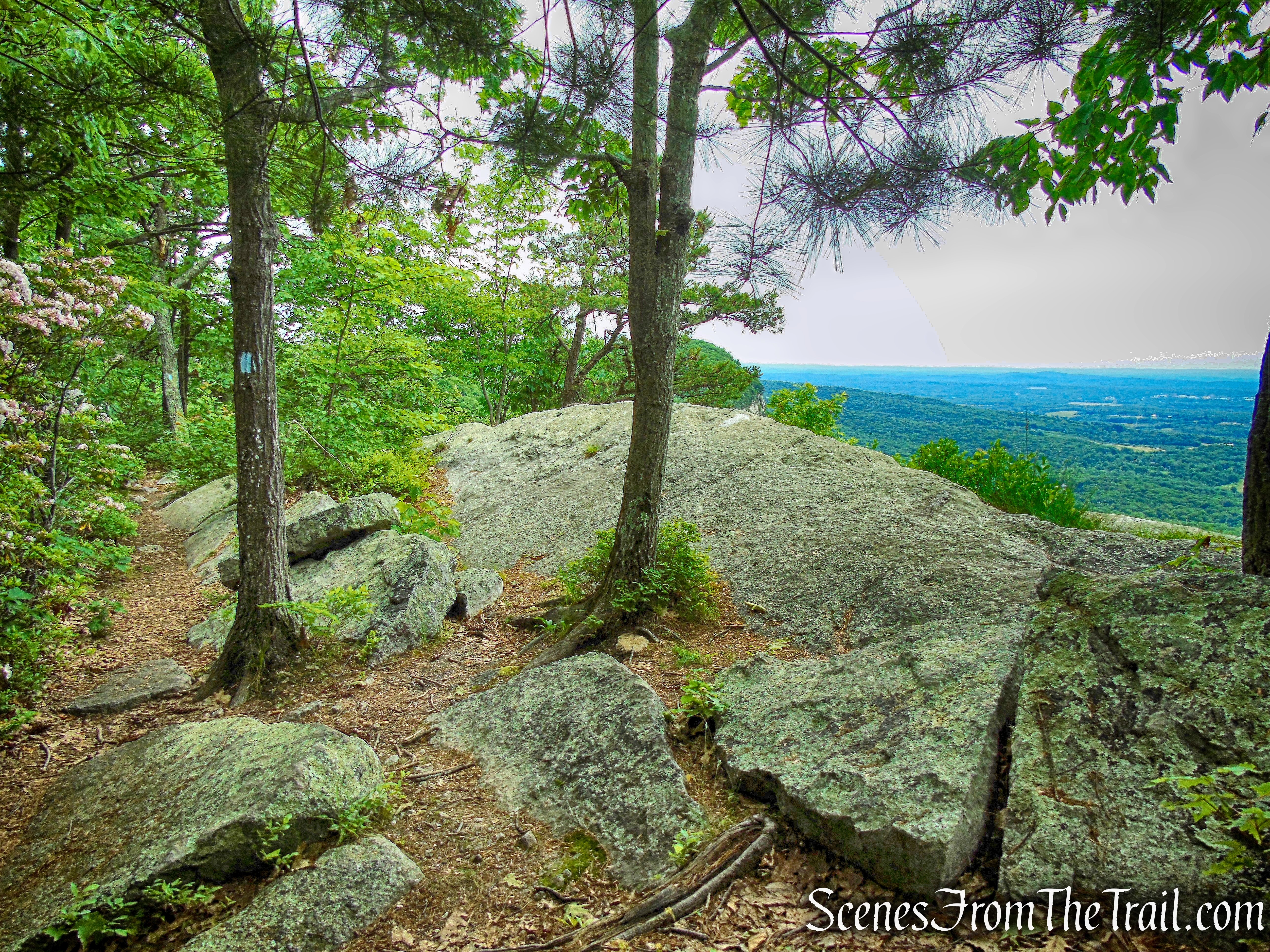 Millbrook Ridge Trail