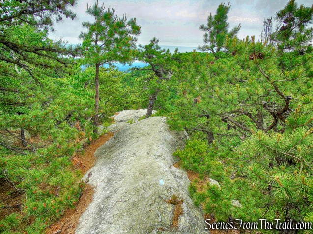 Millbrook Ridge Trail