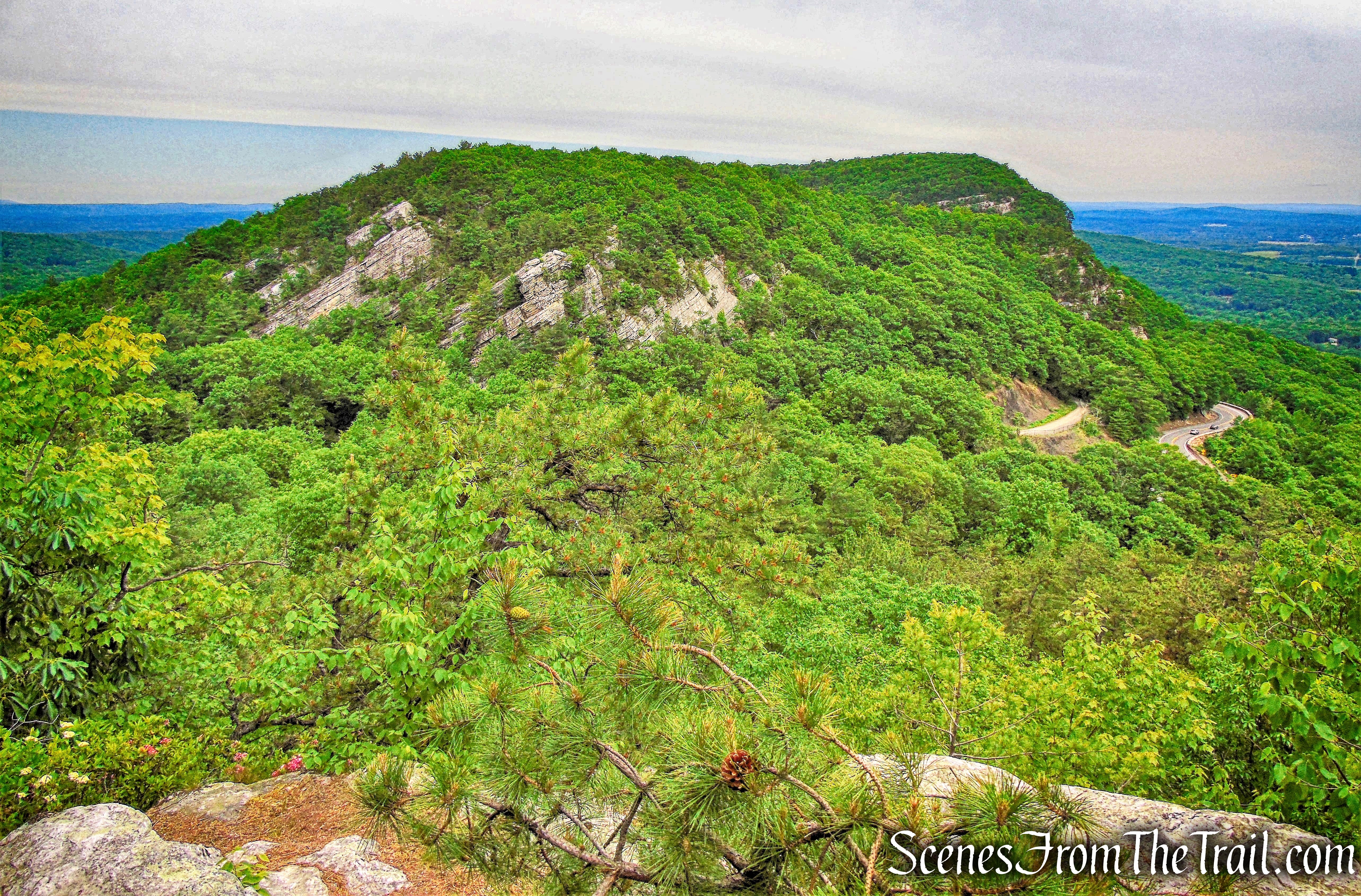 Trapps ridge - Millbrook Mountain