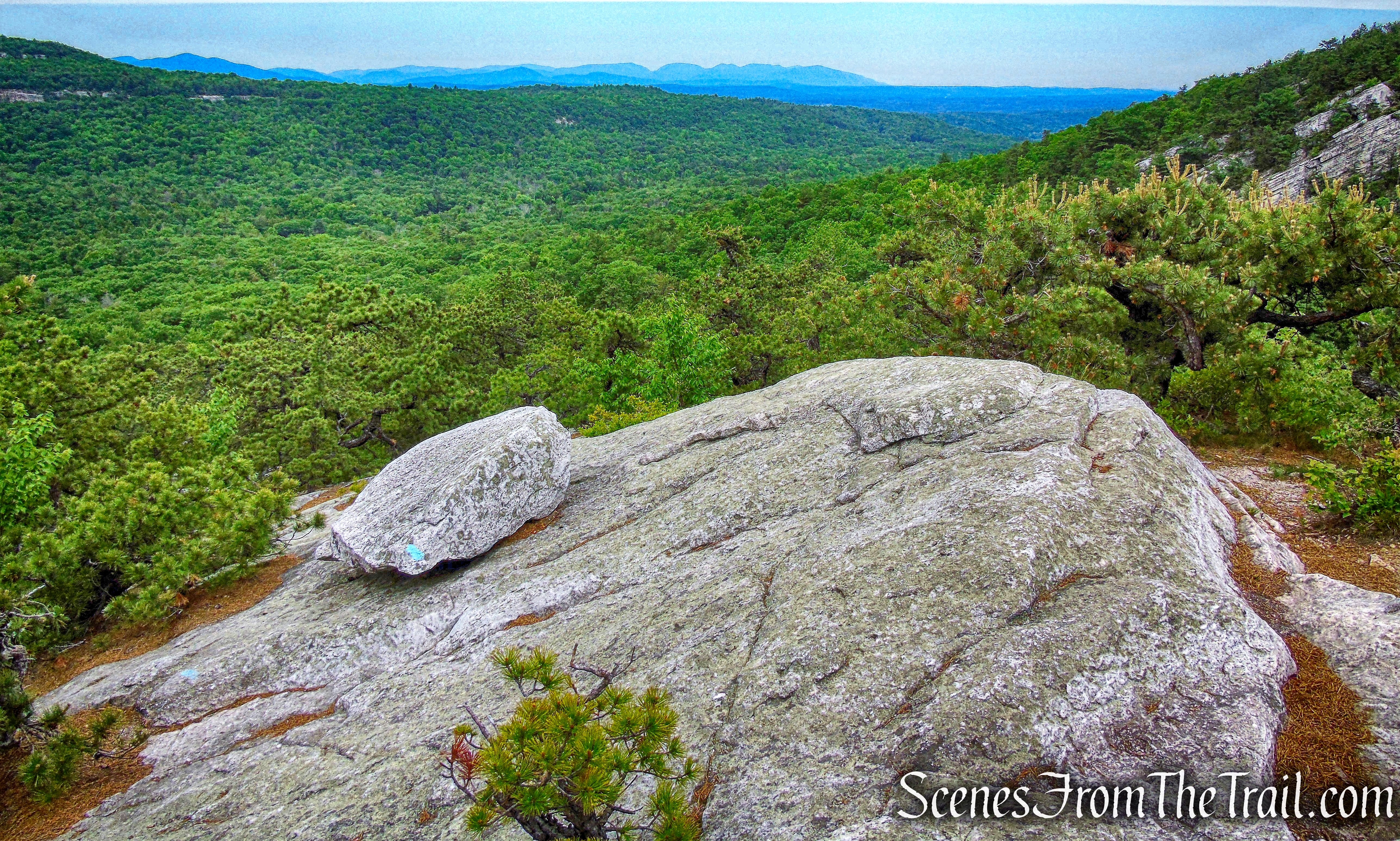 Millbrook Ridge Trail