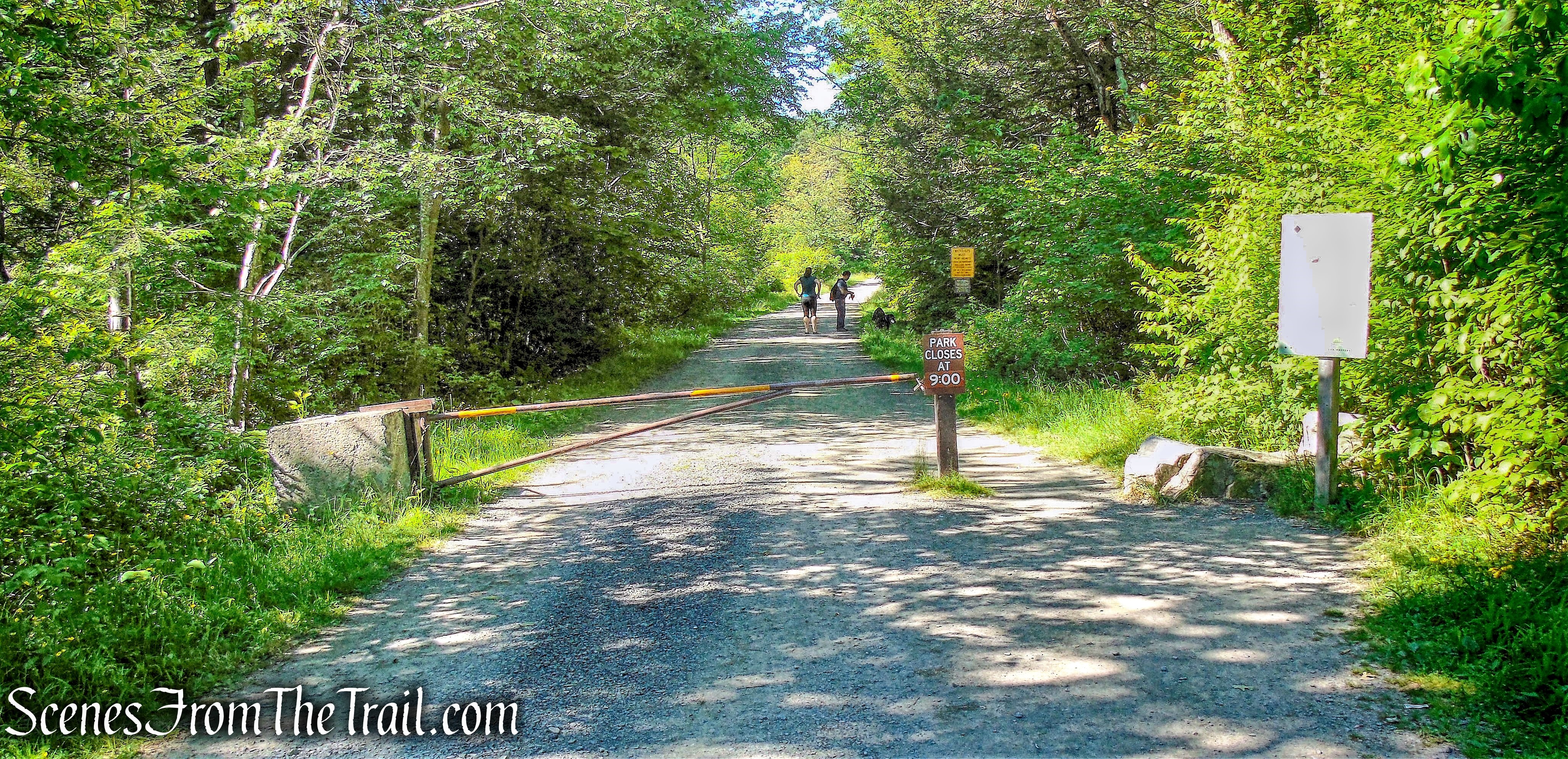 Lower Awosting Carriage Road