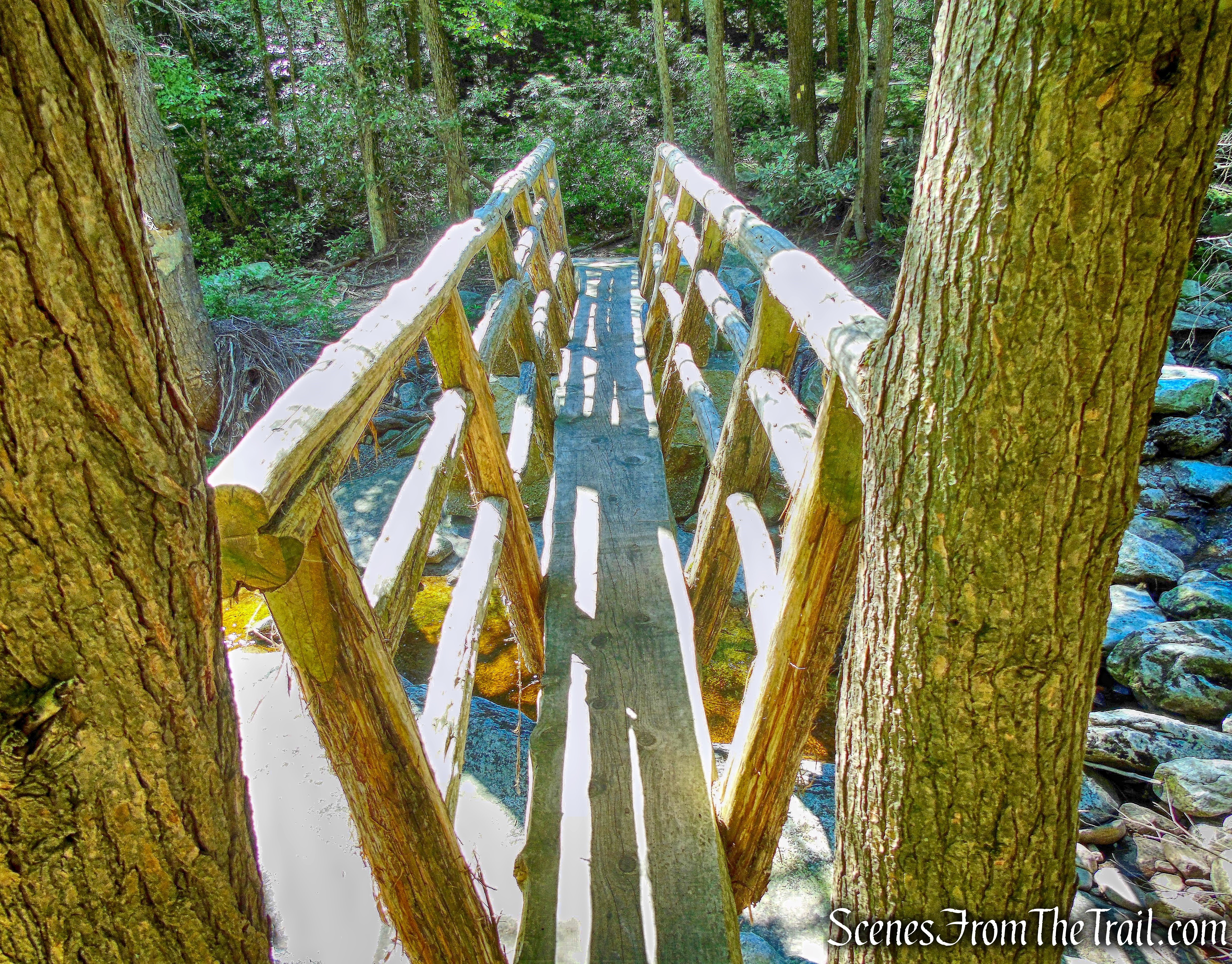 one-log footbridge - Mossy Glen Footpath