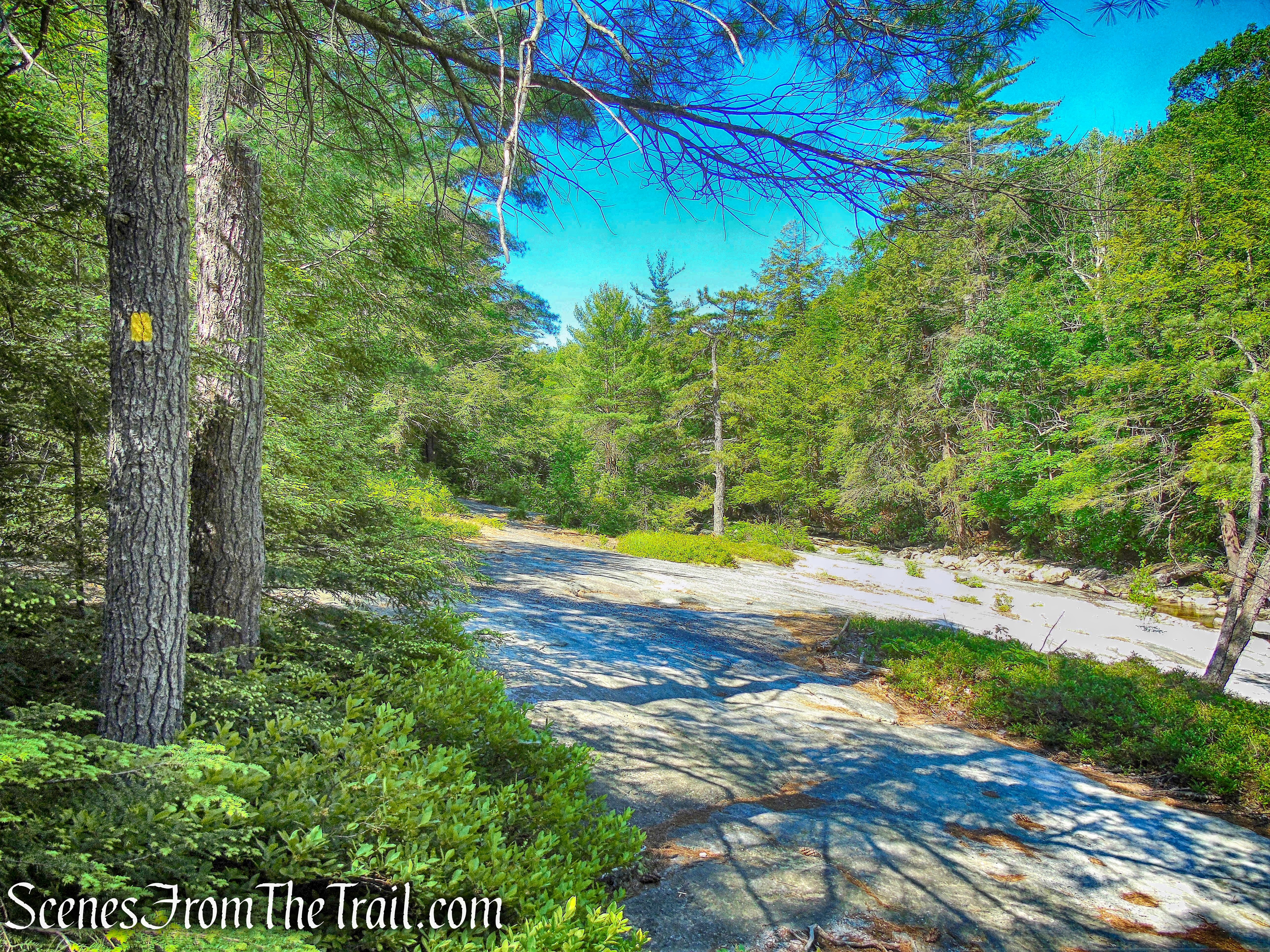 Mossy Glen Footpath
