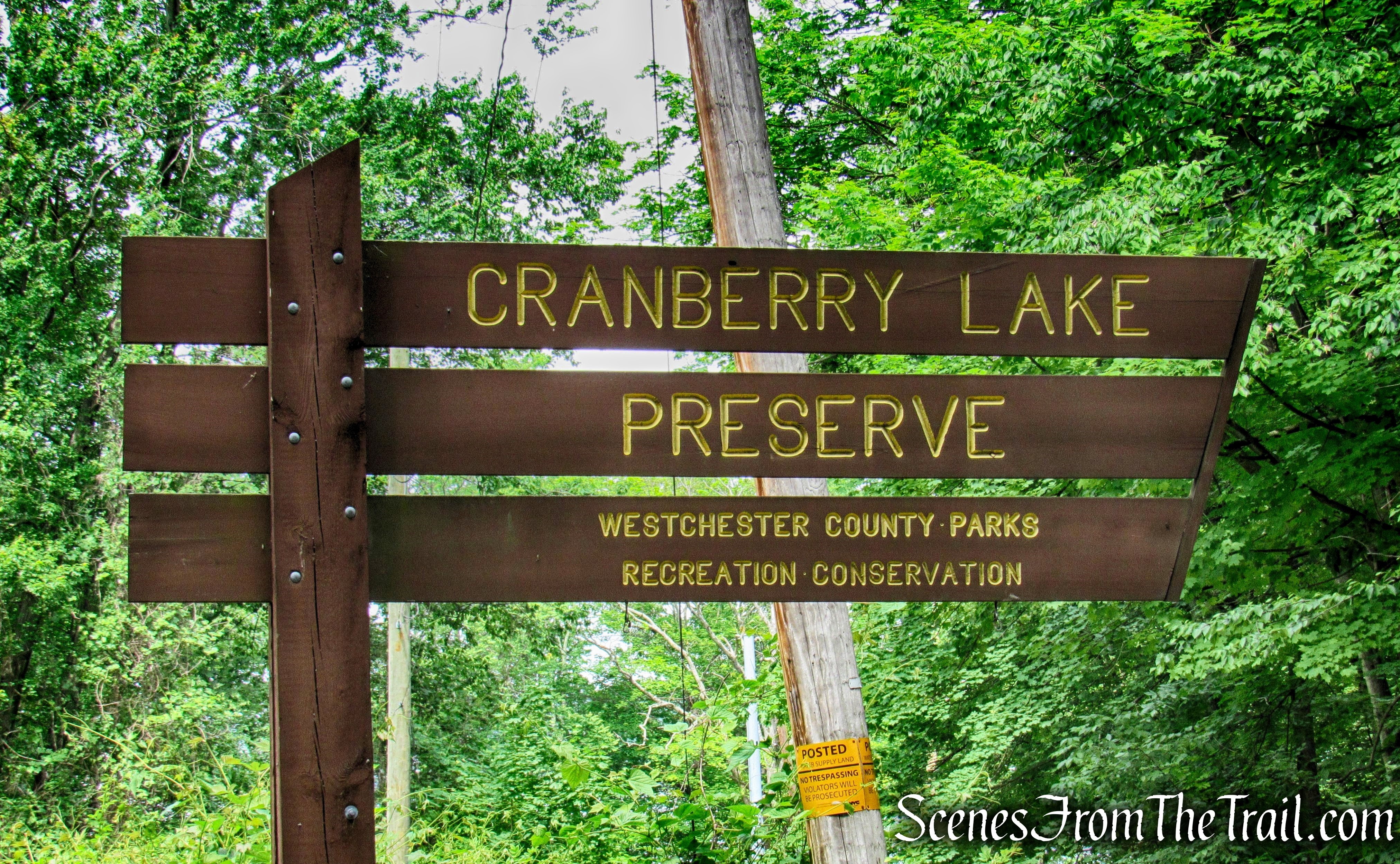Cranberry Lake Preserve