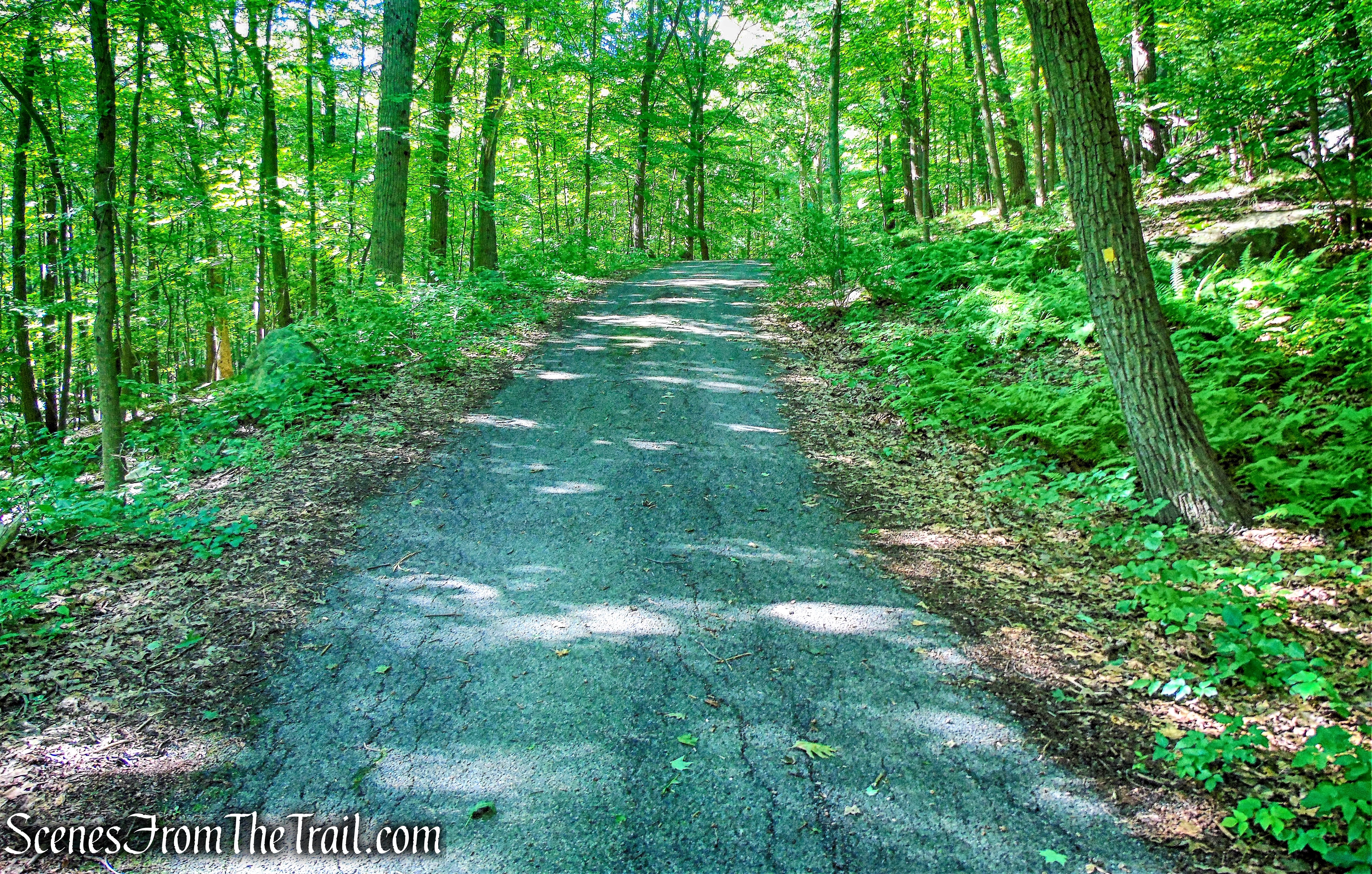 Suffern-Bear Mountain (S-BM) Trail