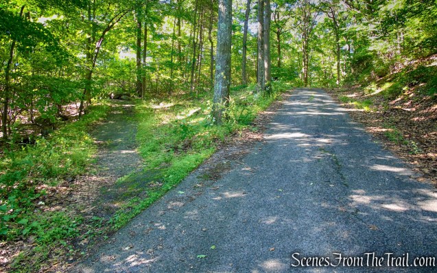 S-BM Trail veers left