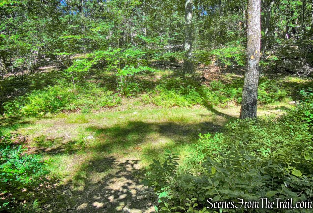 turn right on S-BM Trail