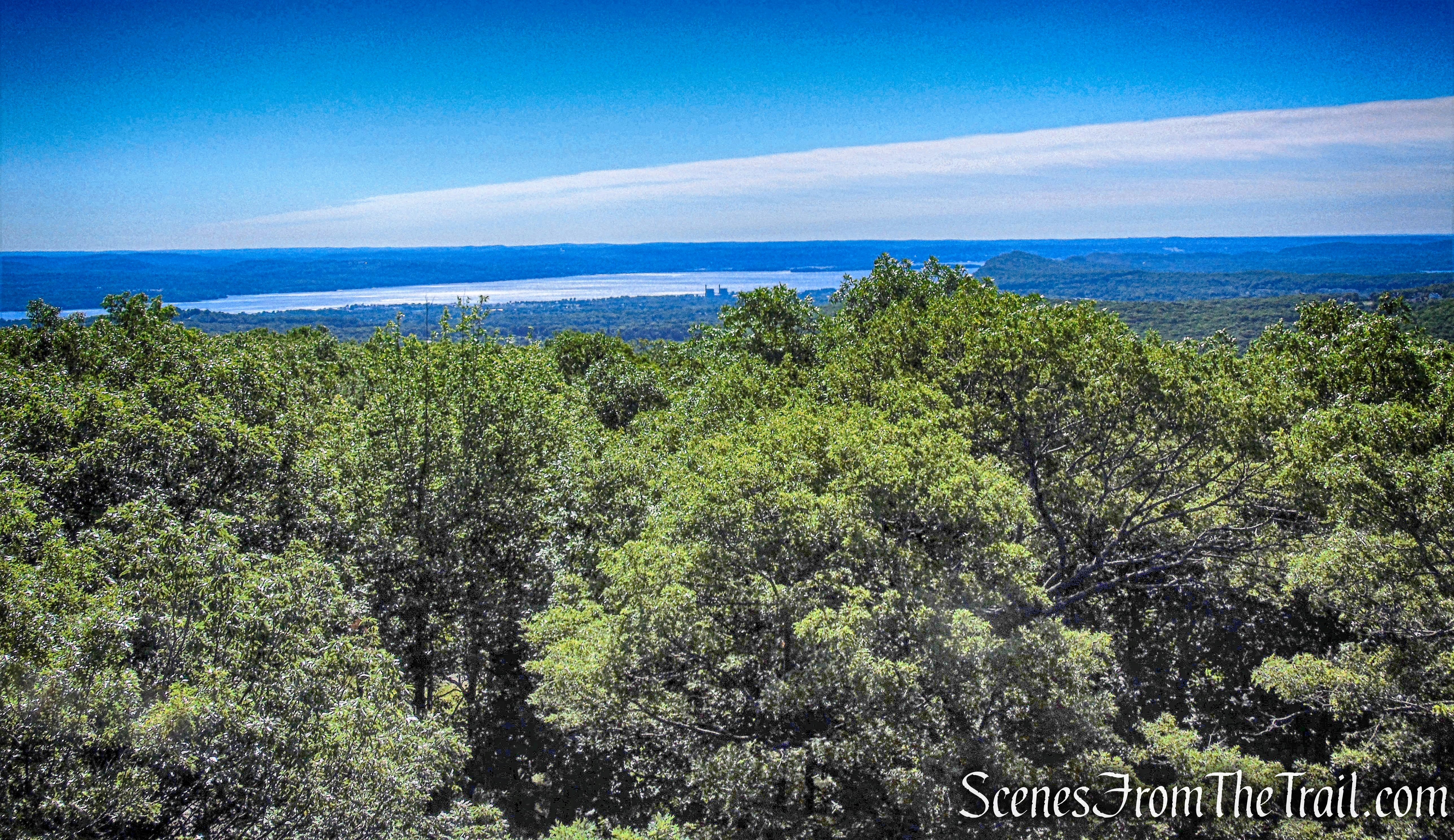 Looking southeast - Jackie Jones Fire Tower
