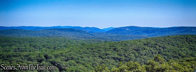 View northeast - Jackie Jones Fire Tower