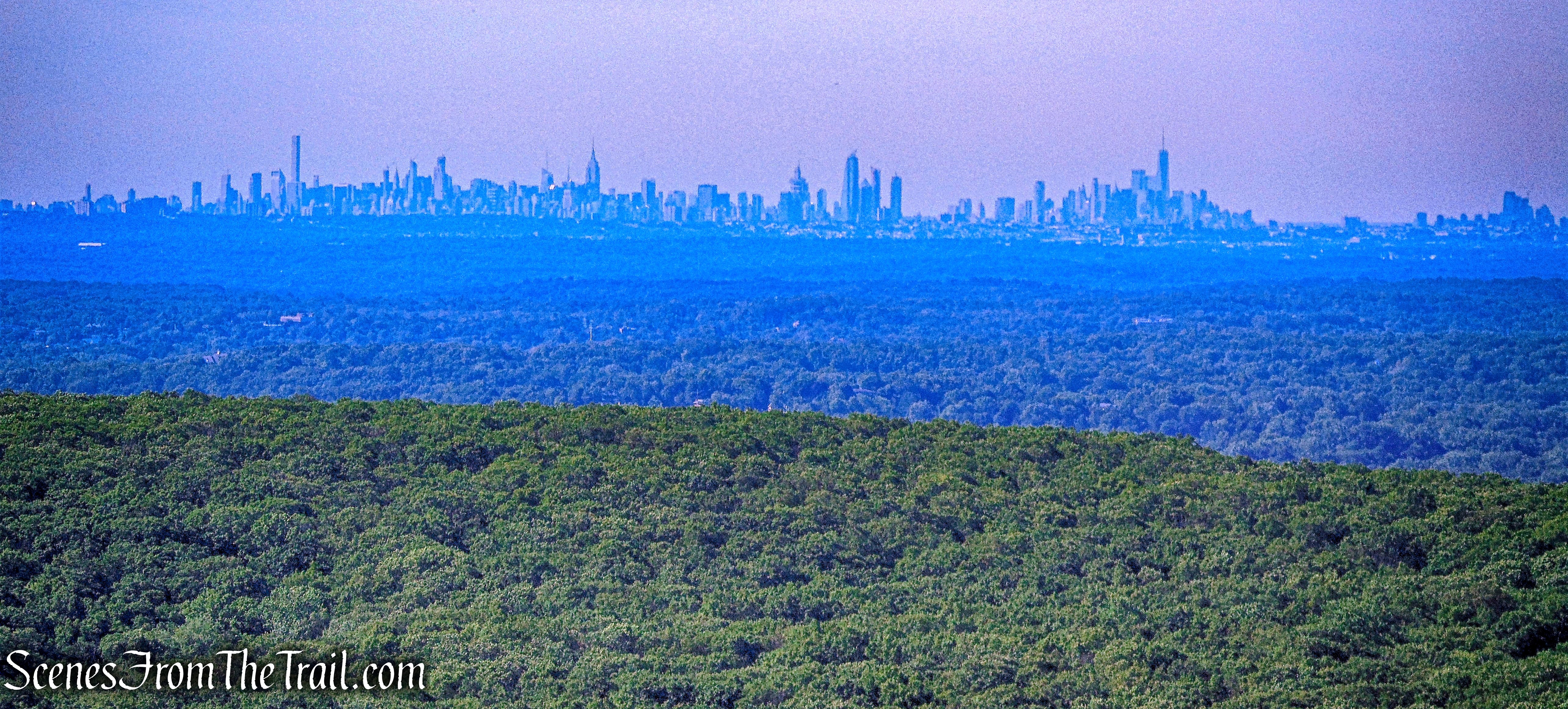 Manhattan skyline - Jackie Jones Fire Tower