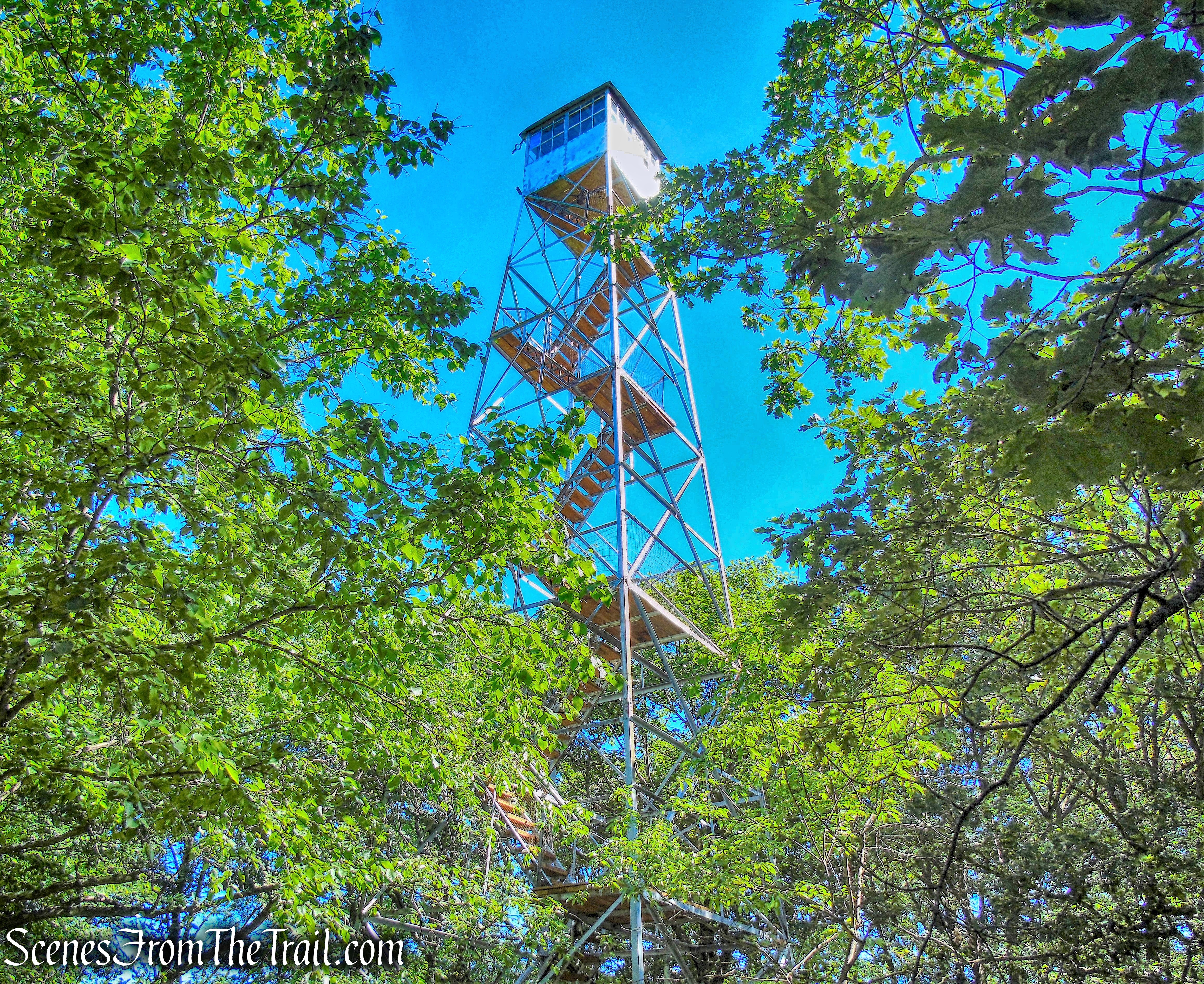 Jackie Jones Fire Tower
