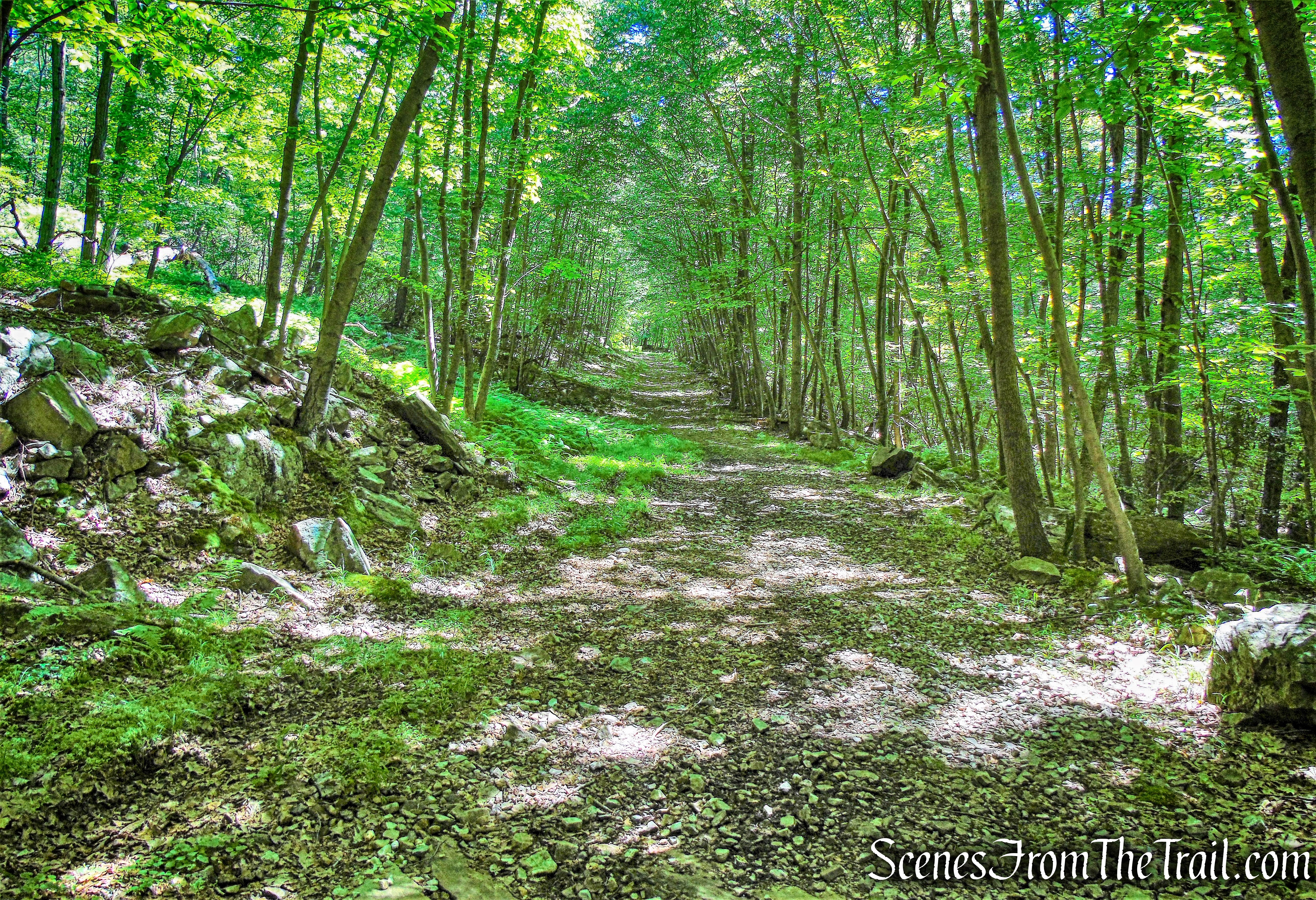 Old Turnpike