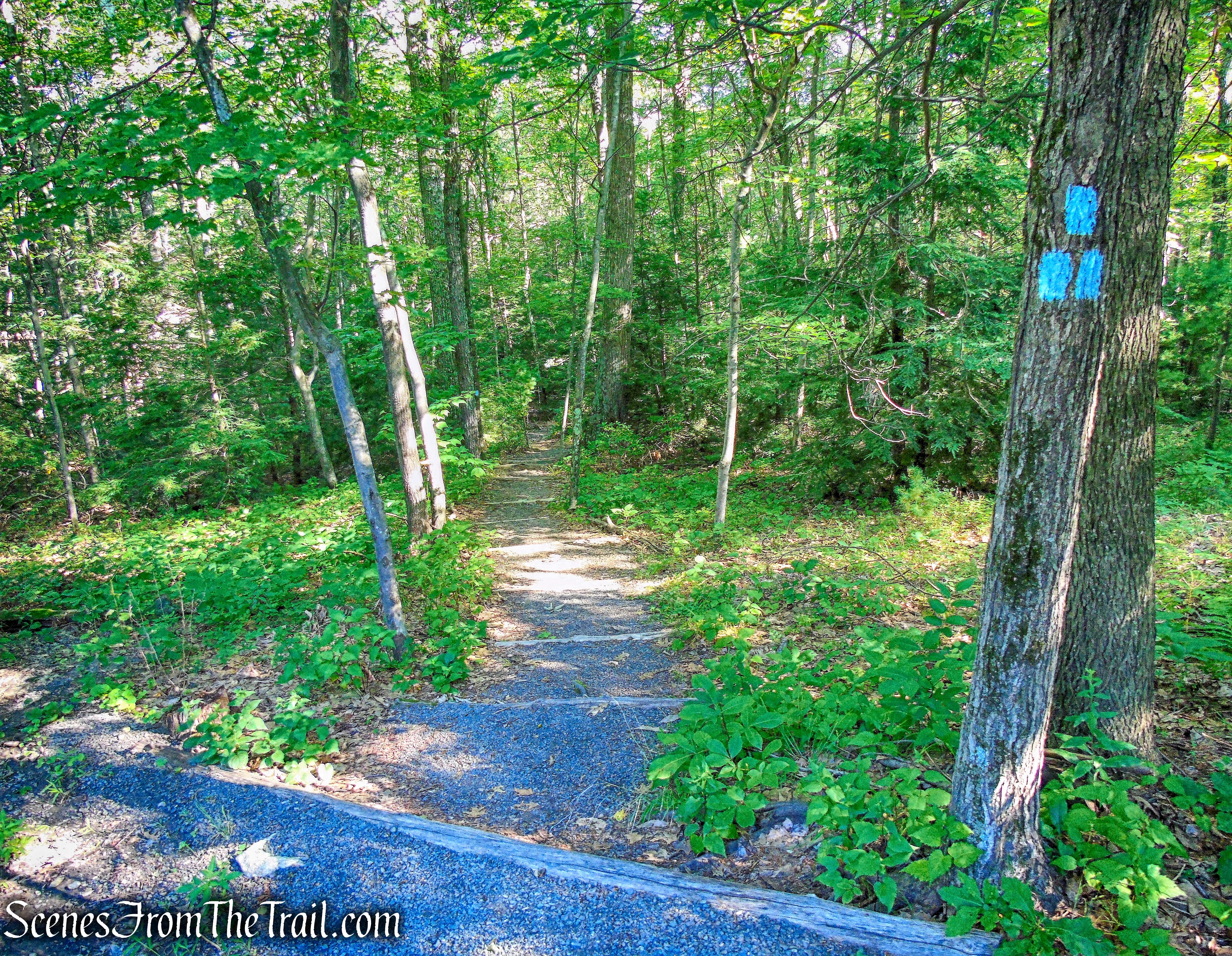 Trapps Hamlet Path