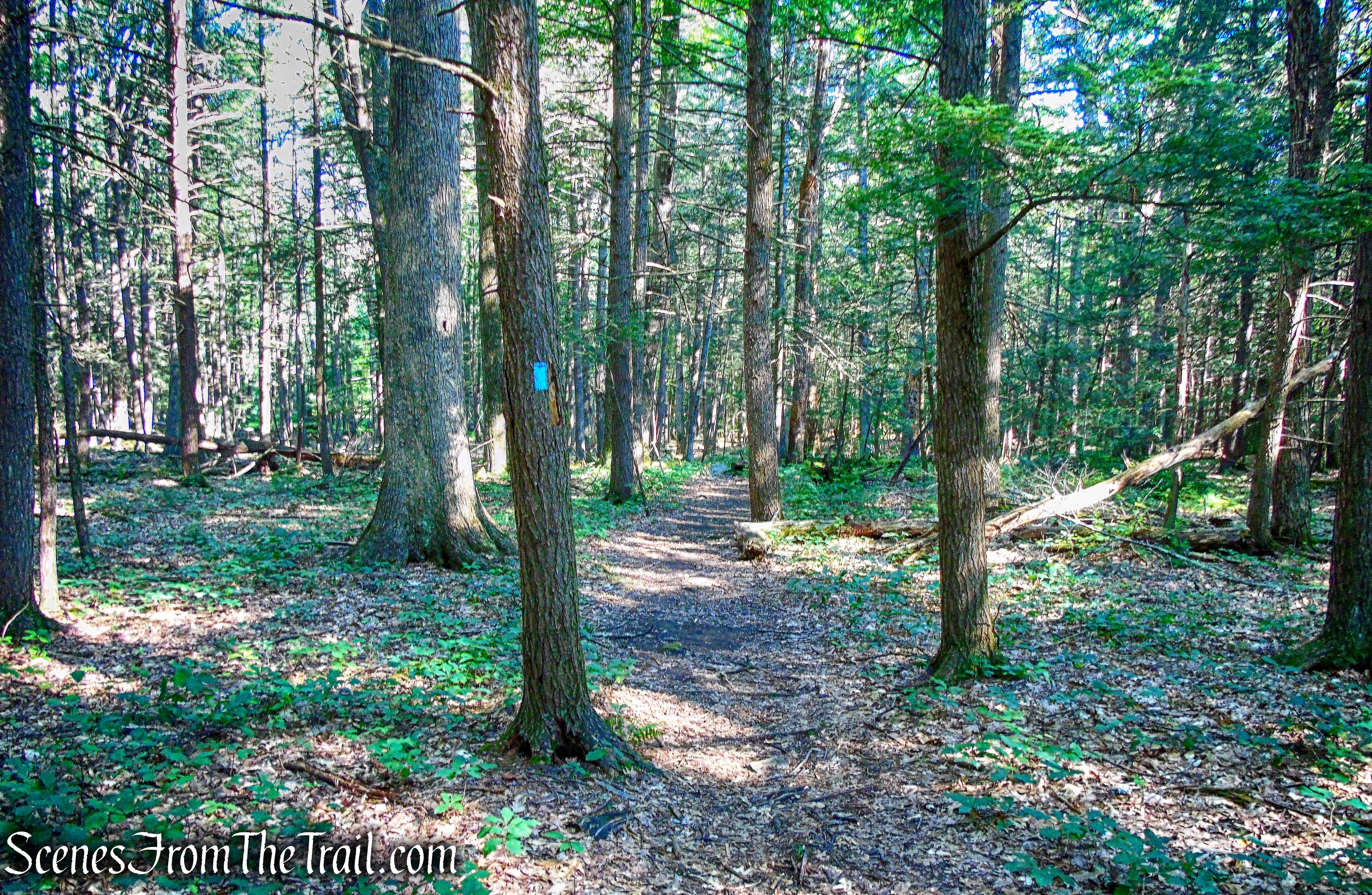 Trapps Hamlet Path