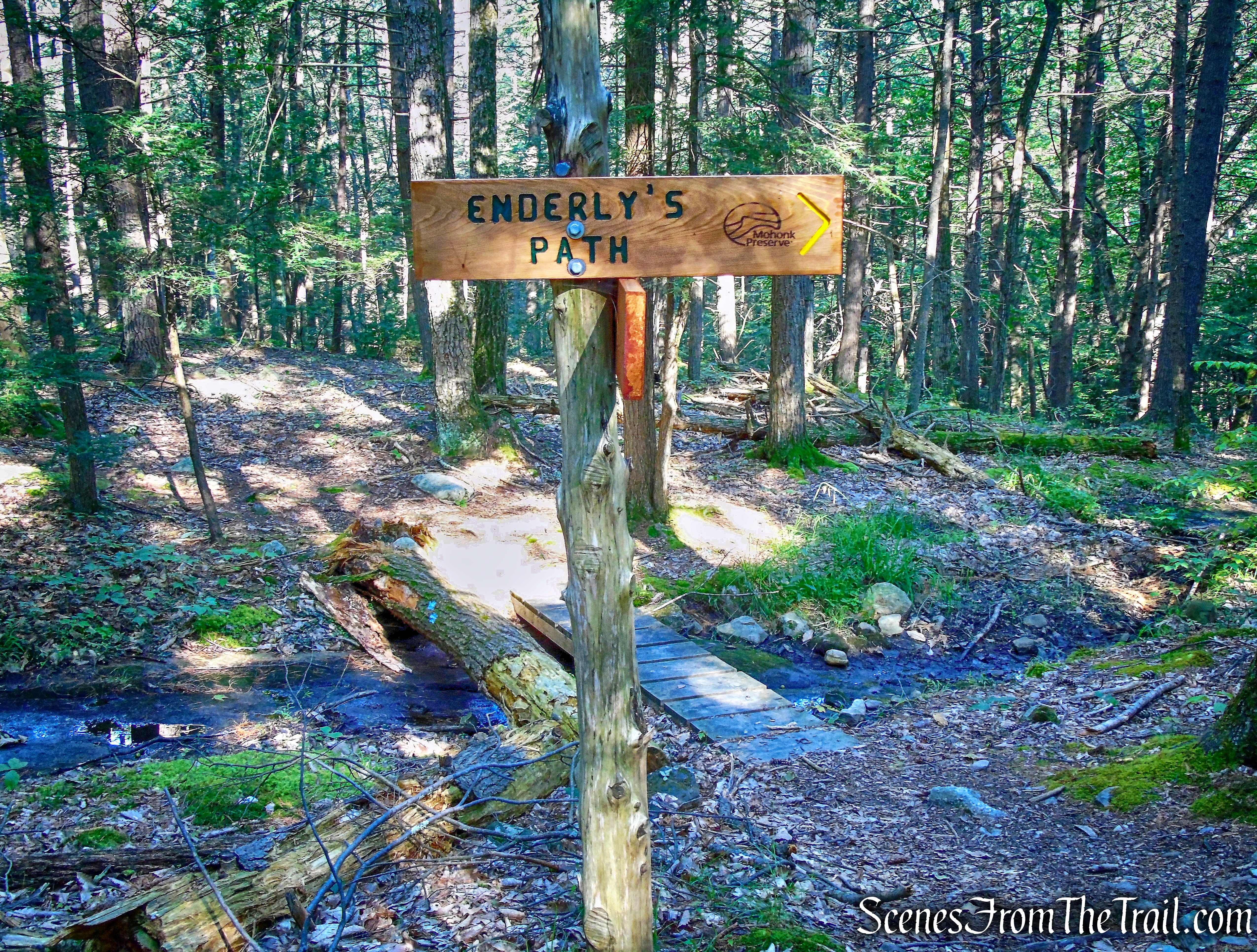 Trapps Hamlet Path