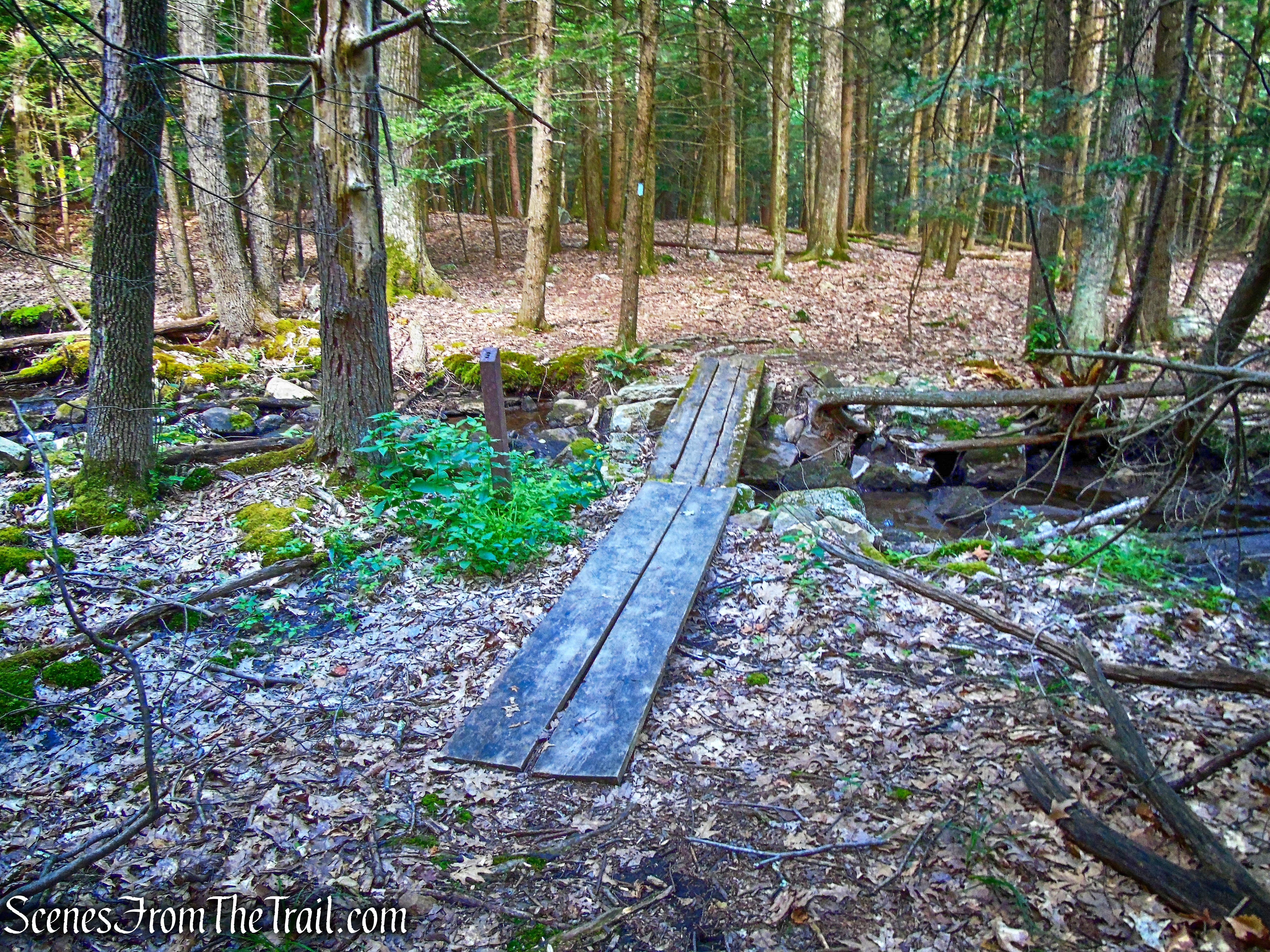 Trapps Hamlet Path