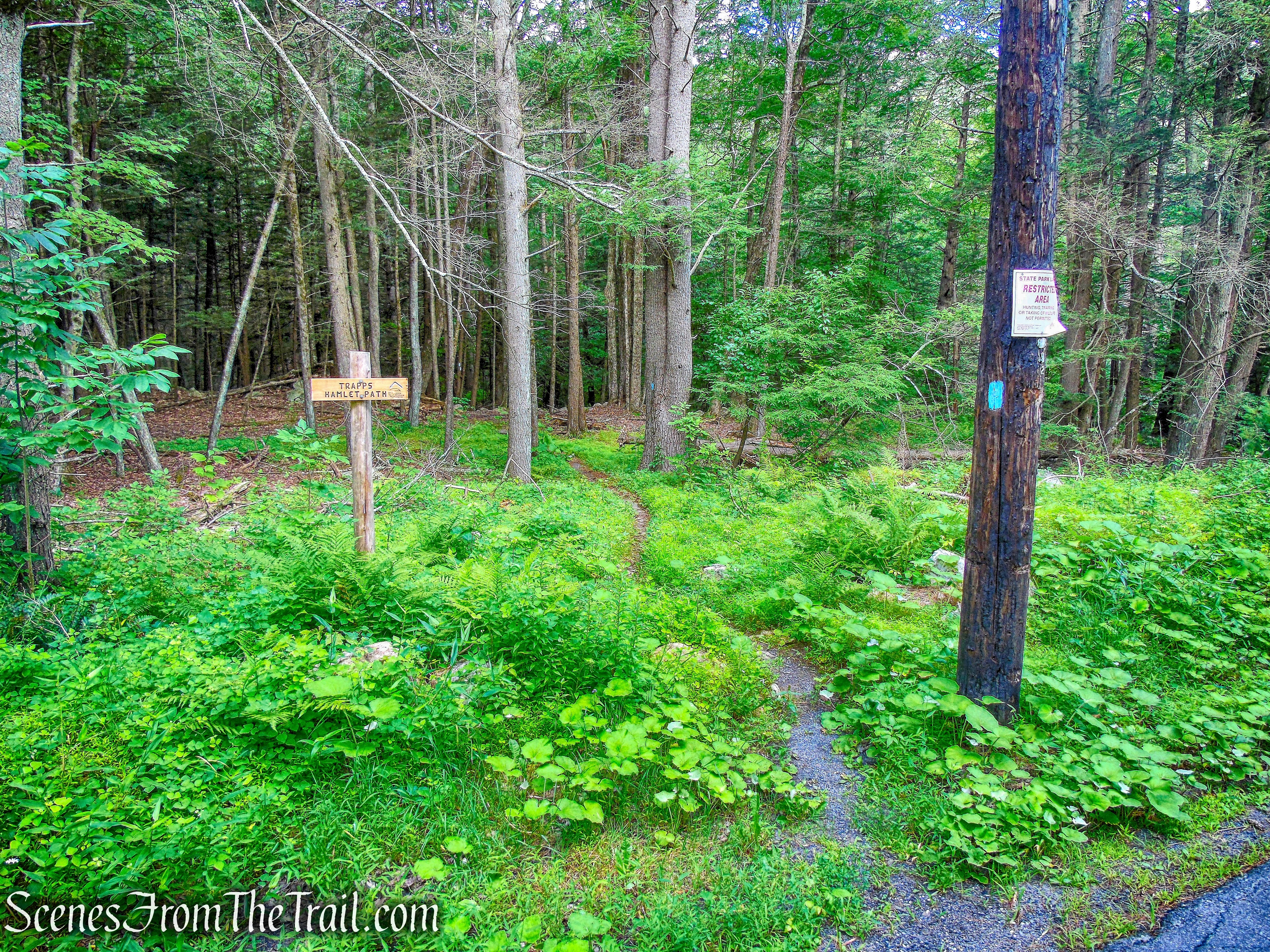 Trapps Hamlet Path