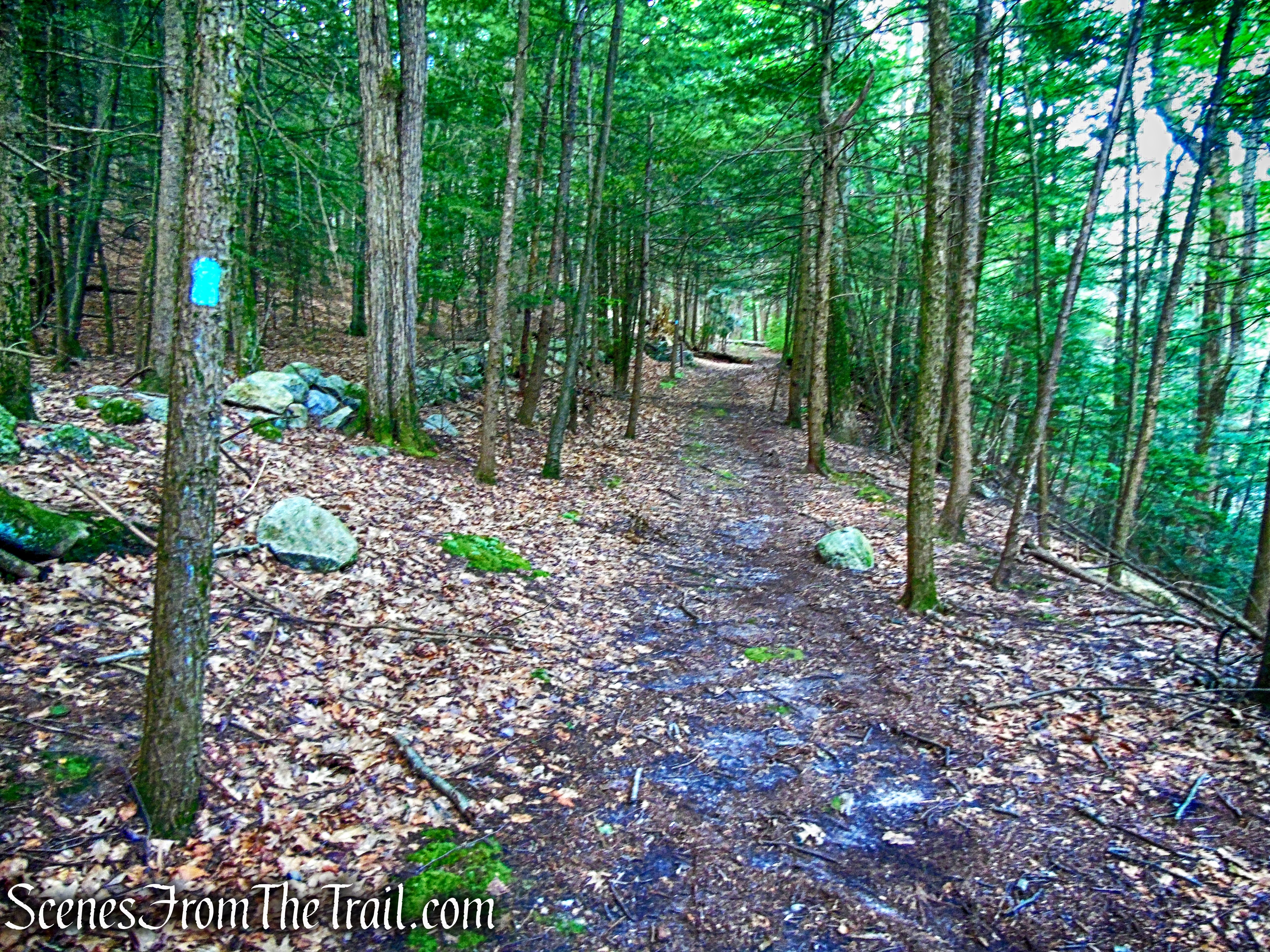 Trapps Hamlet Path