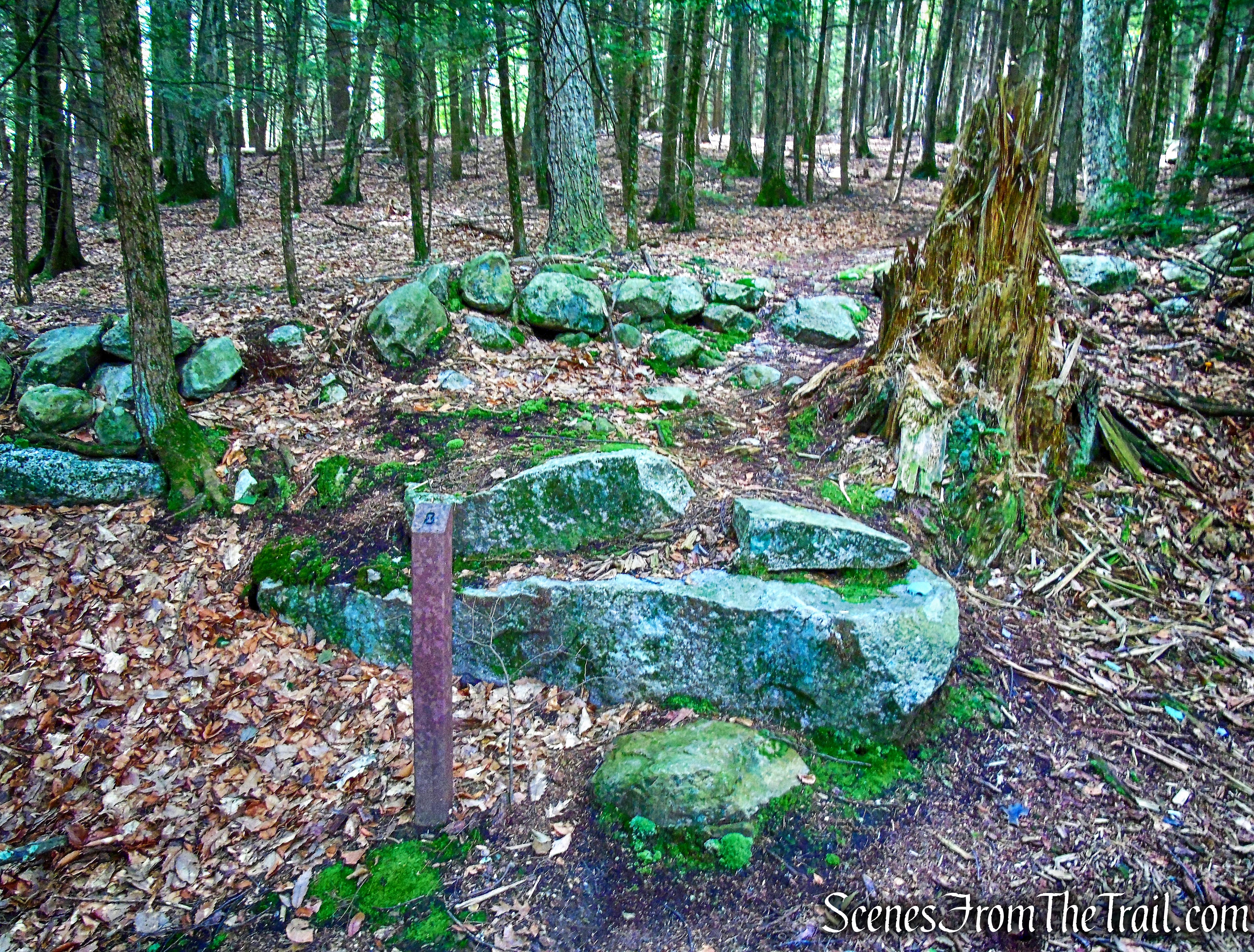 Fowler Burial Ground
