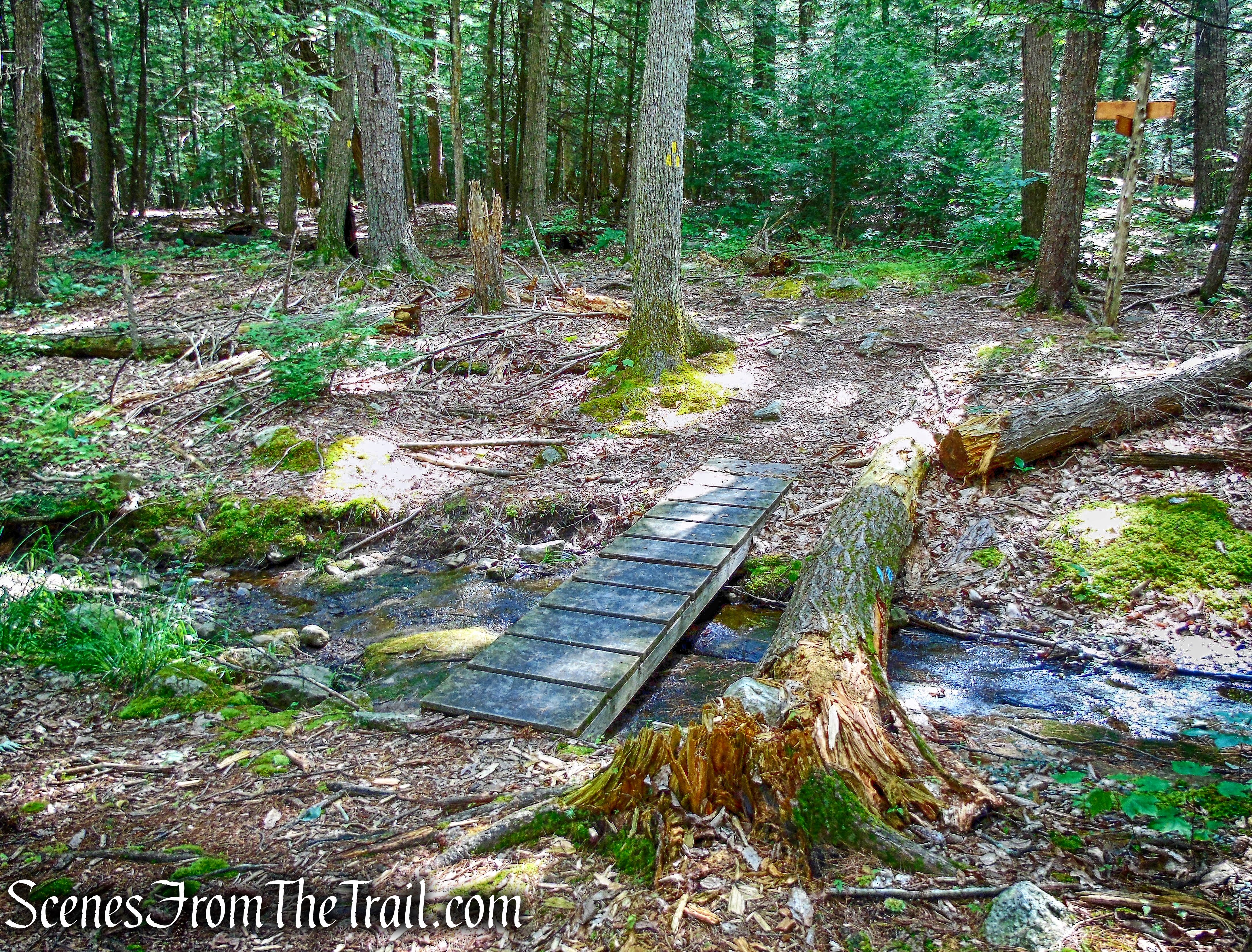 junction with Enderly's Path