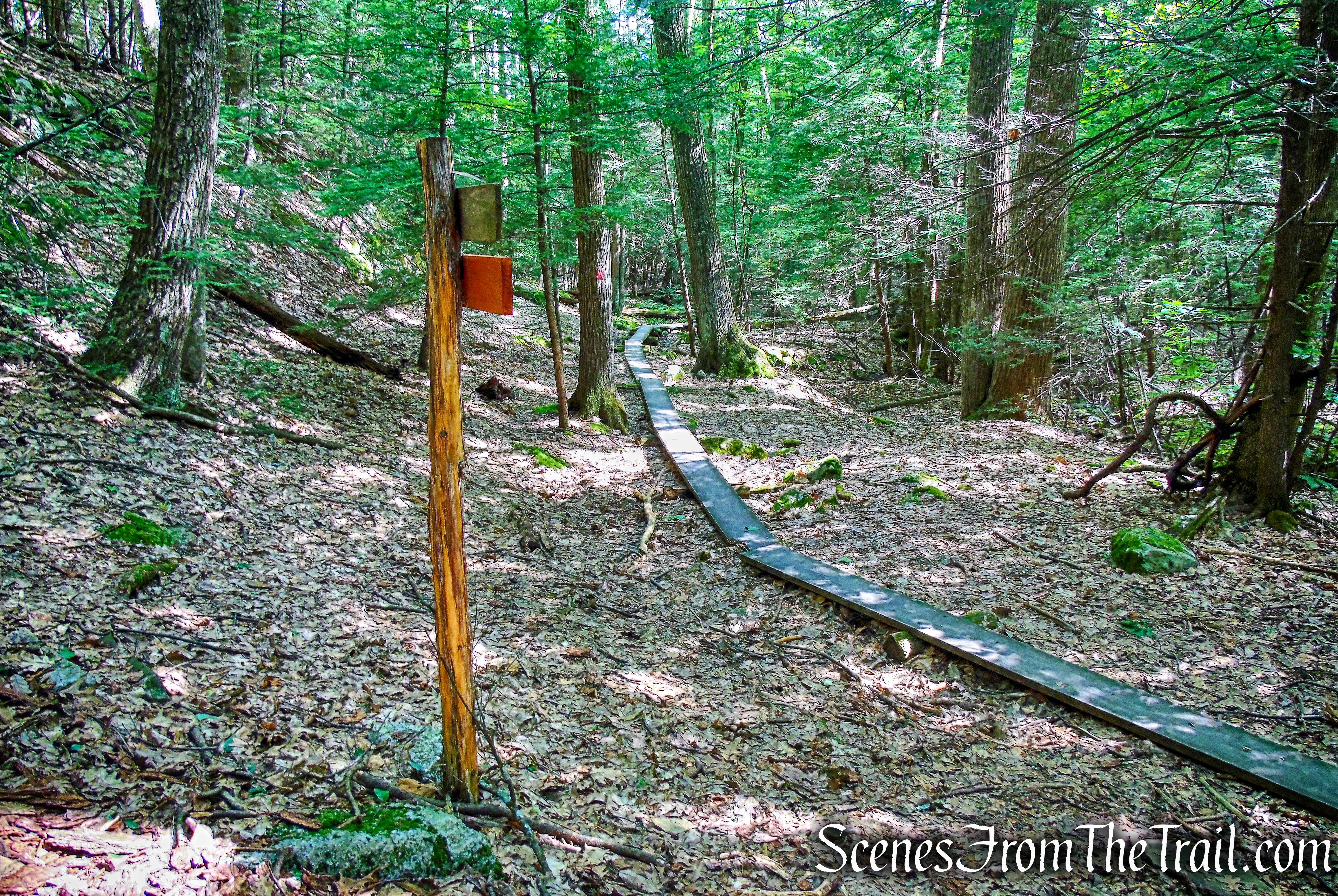 Shongum Path