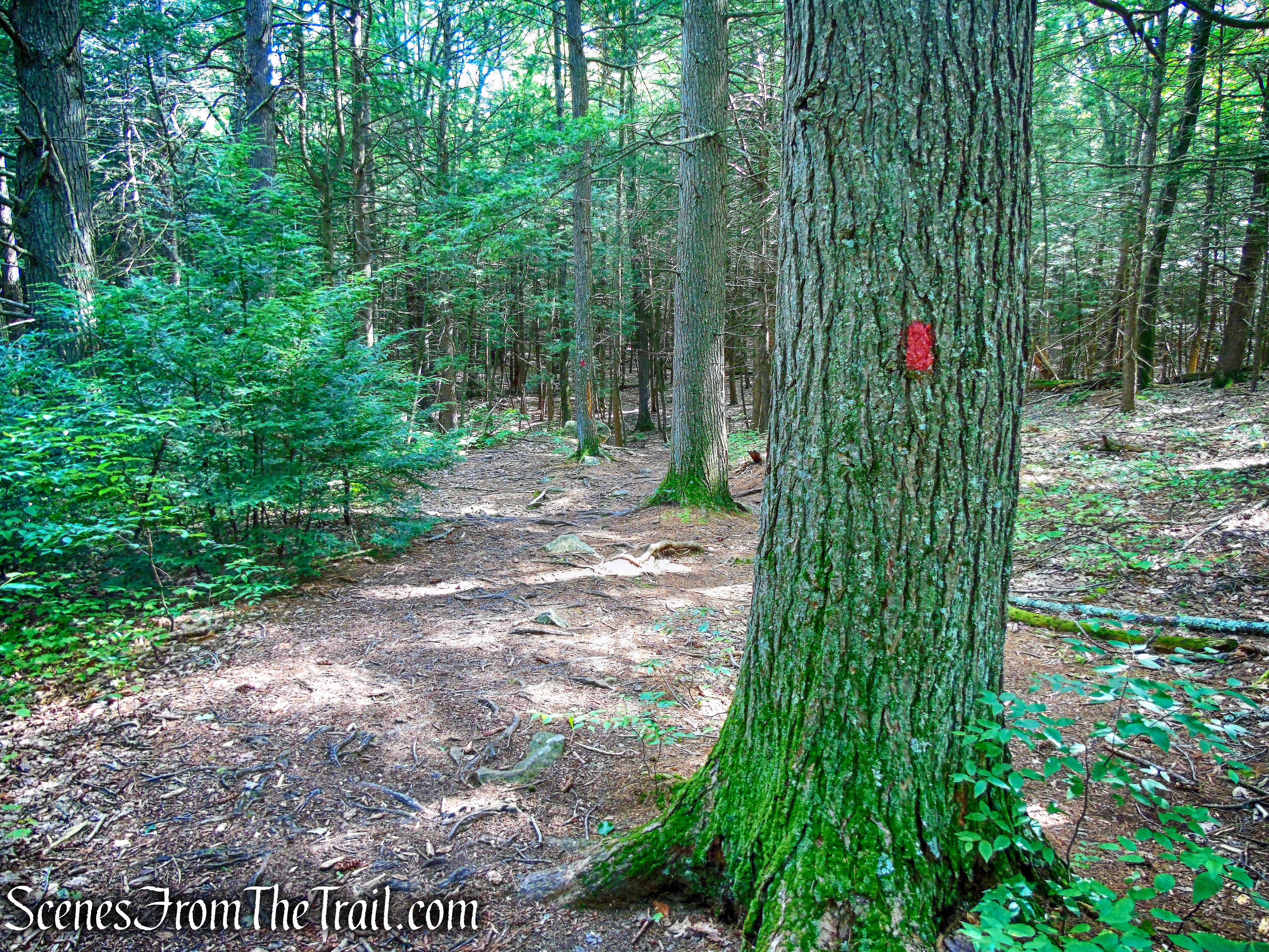 Shongum Path