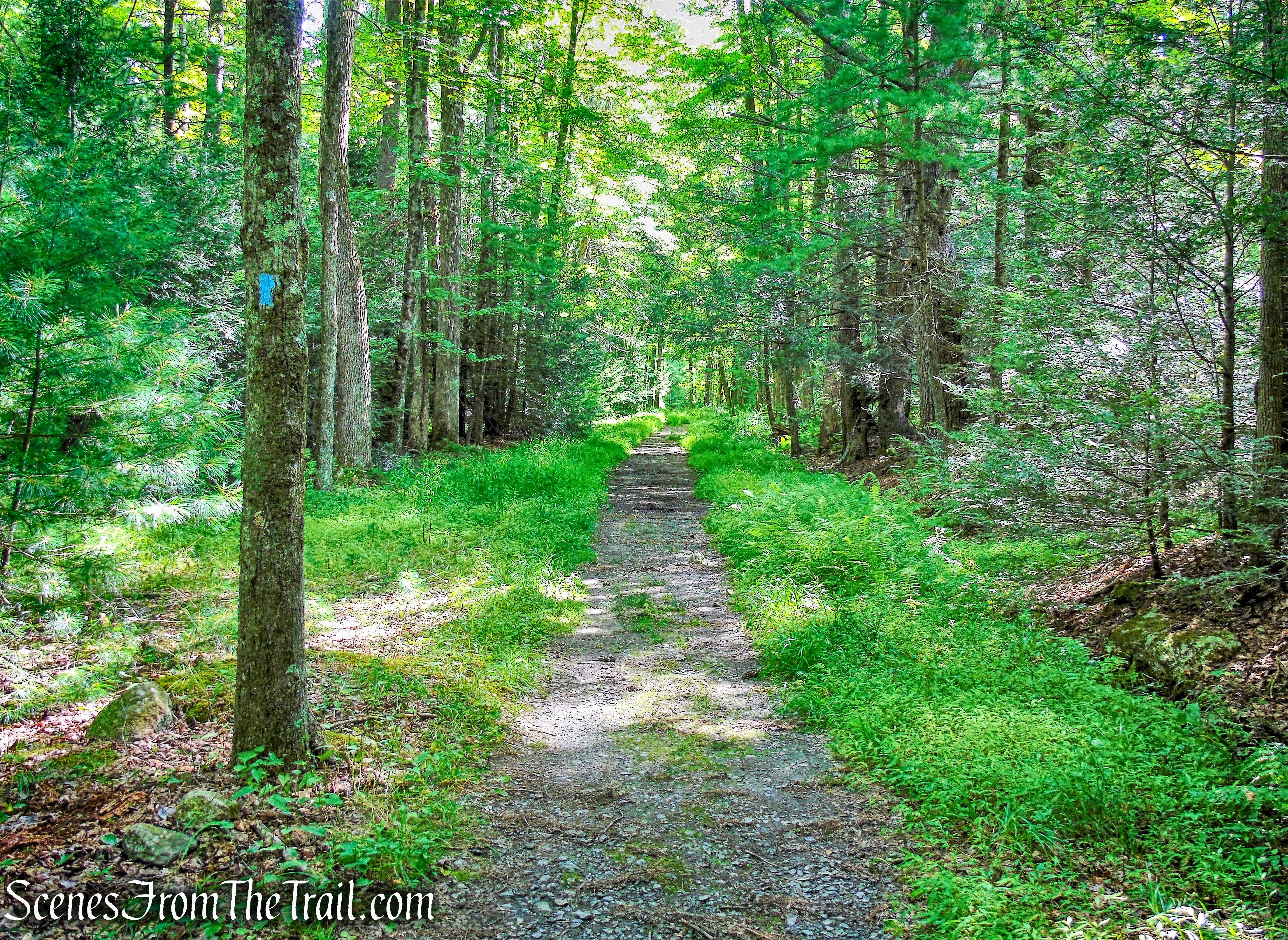 Old Minnewaska Trail