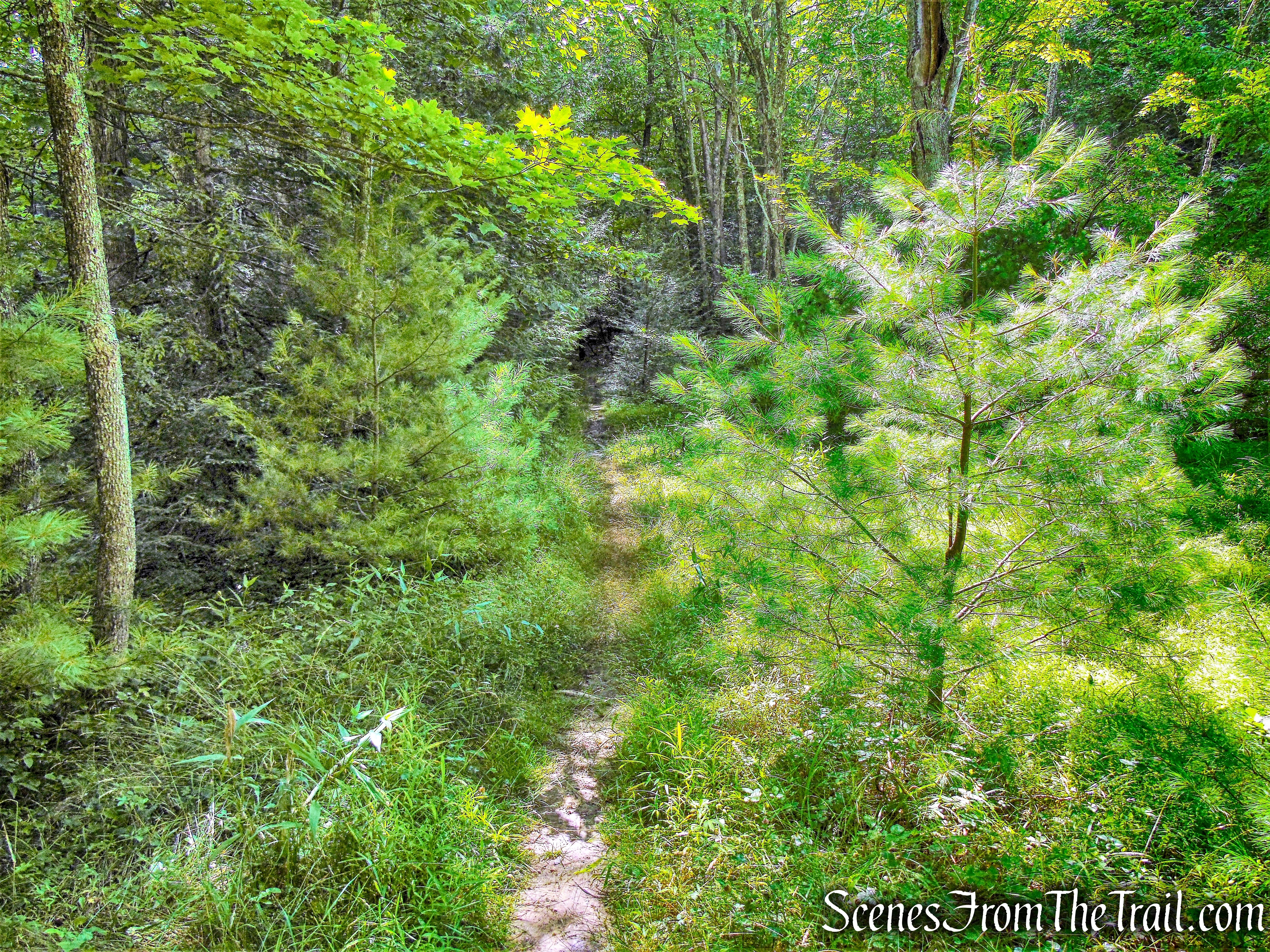 Old Minnewaska Trail