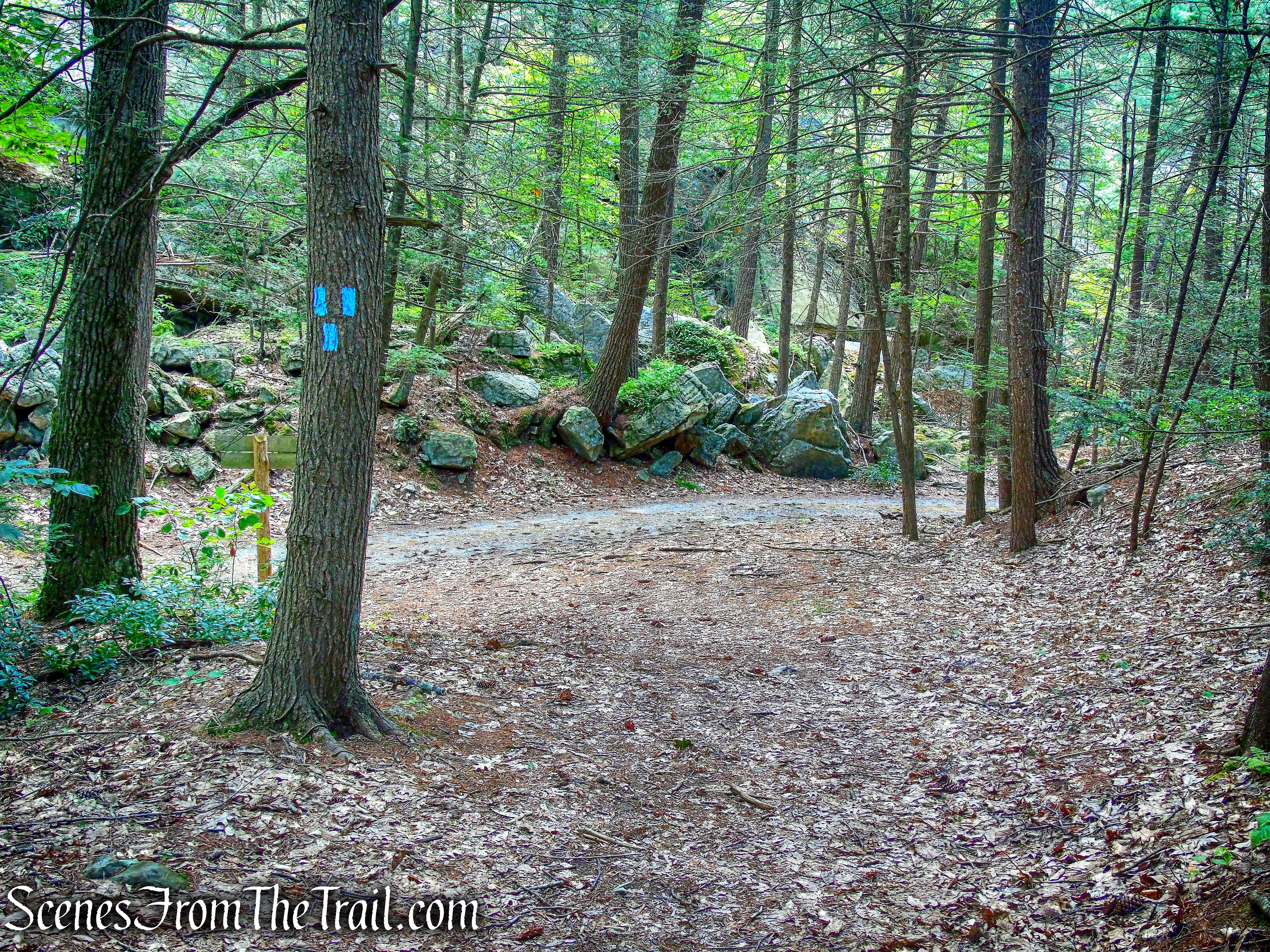 junction with Laurel Ledge Road