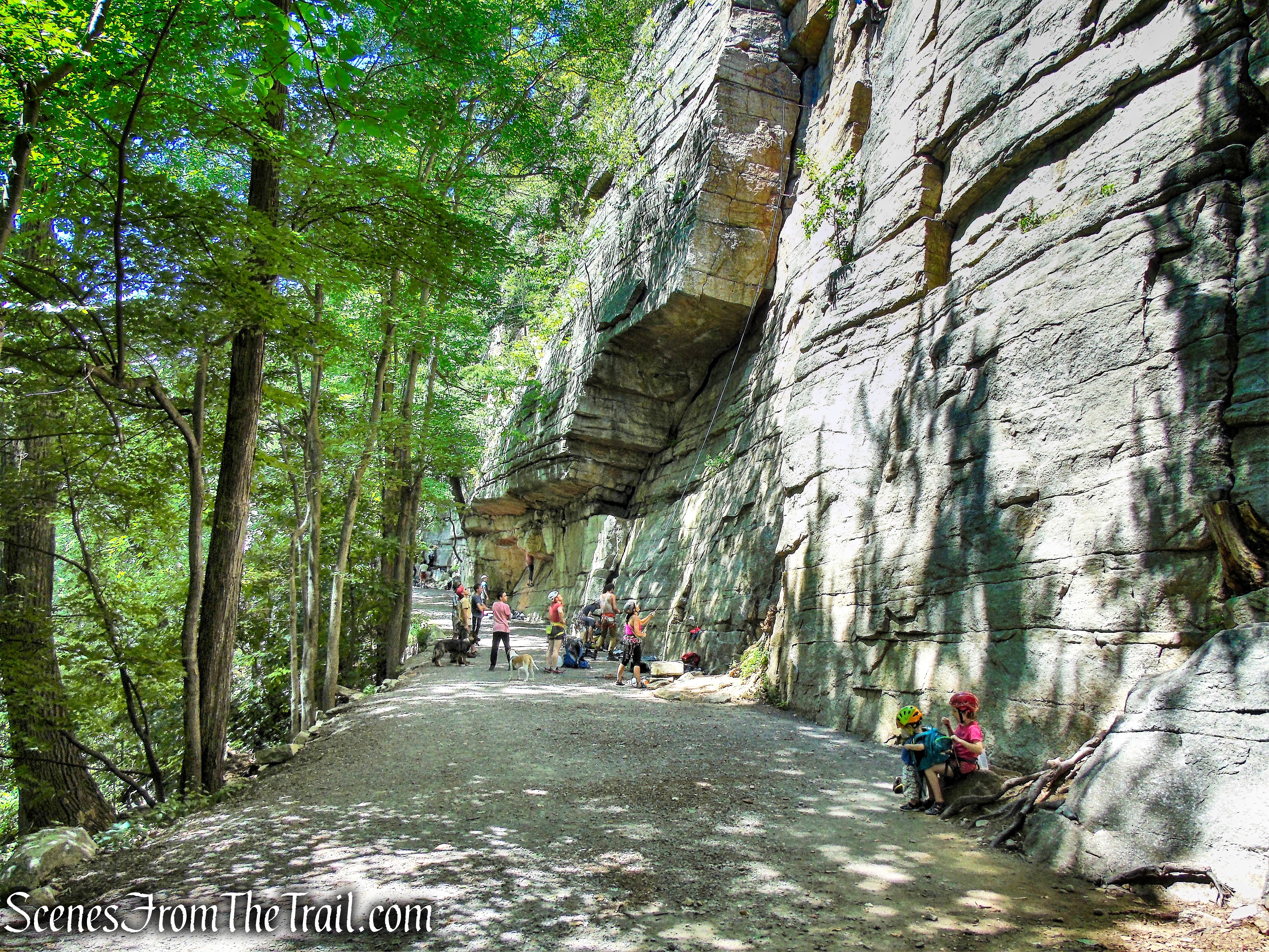 Undercliff Road