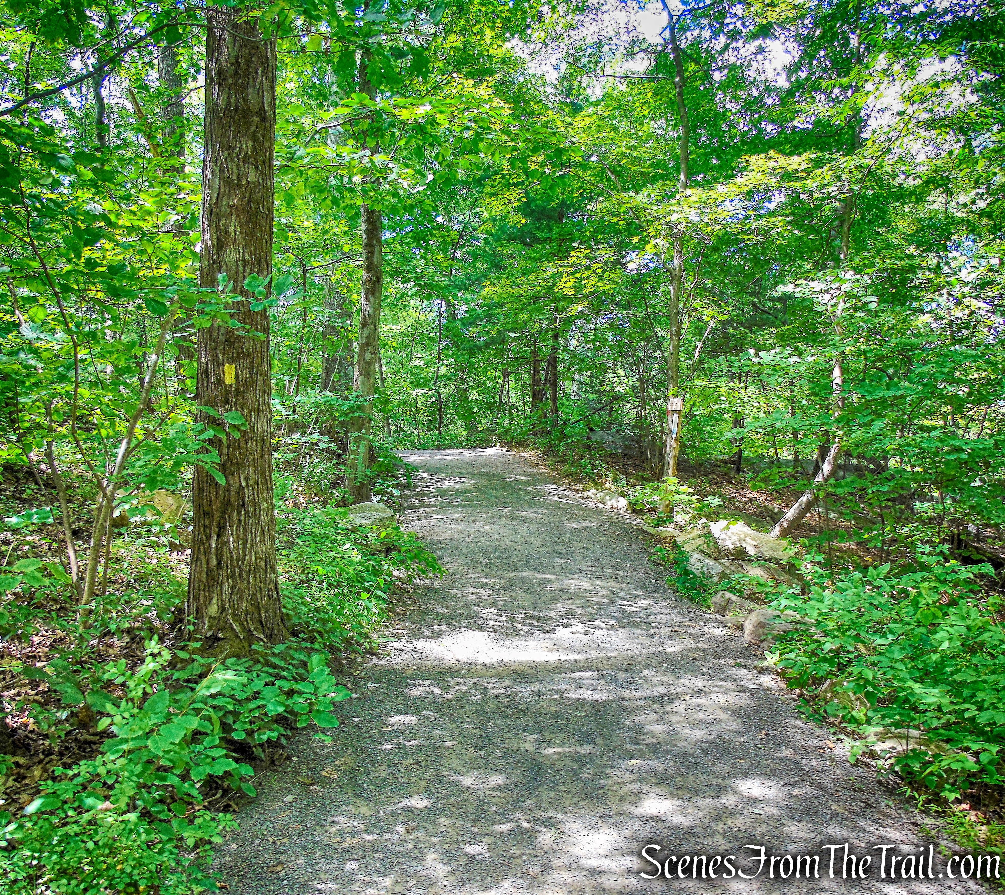 West Trapps Connector Trail