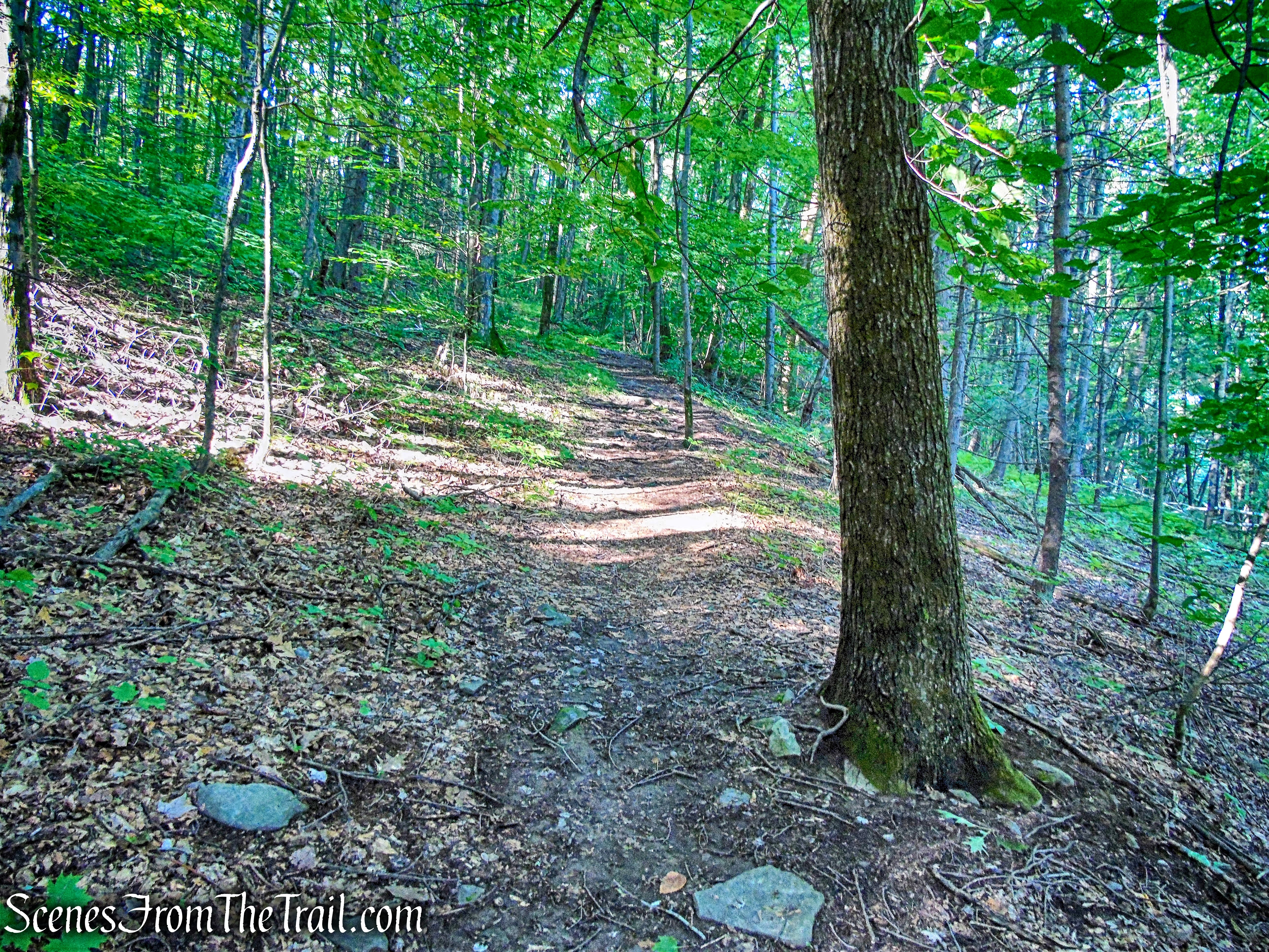 Northwest Trail