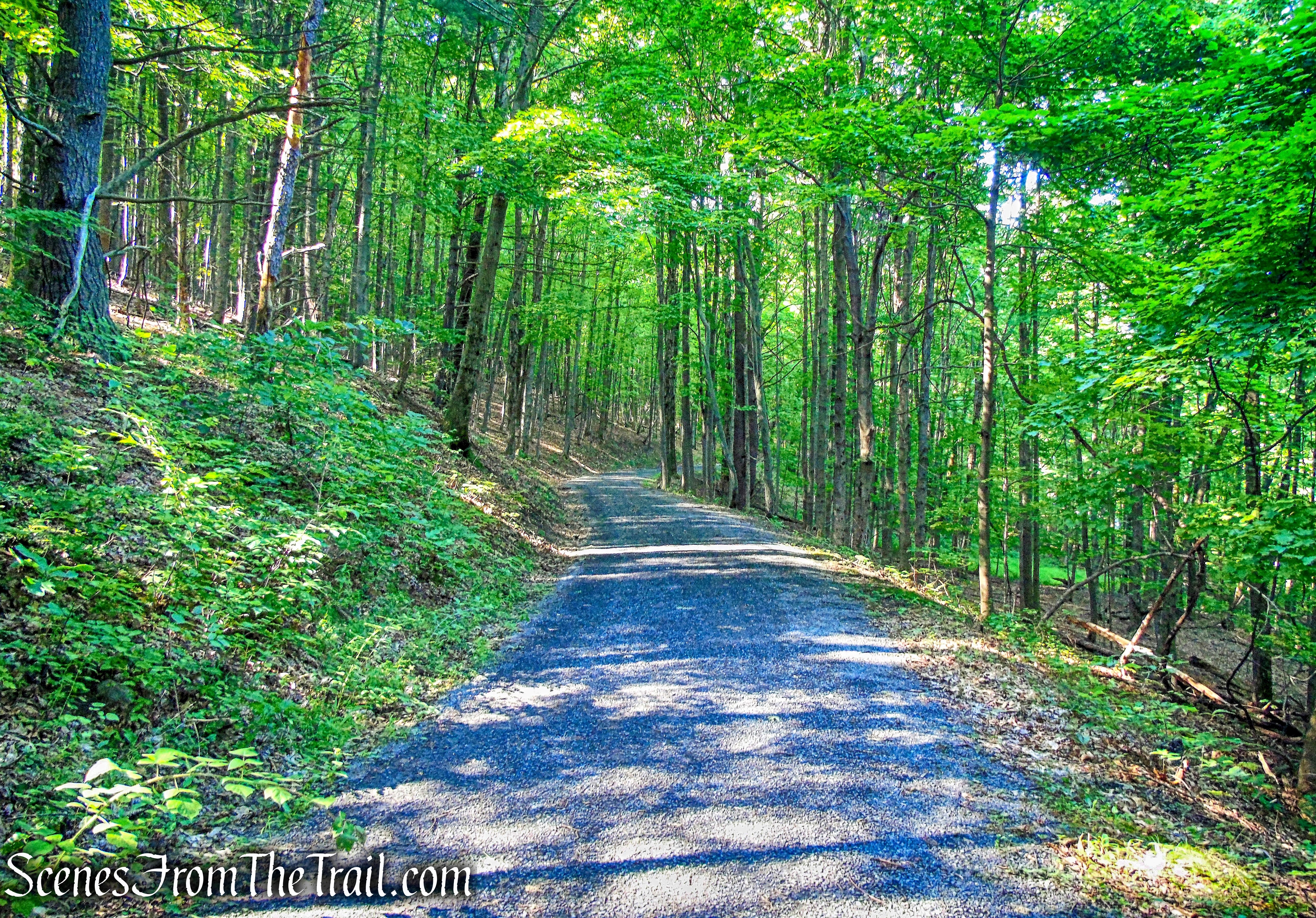 Cedar Drive