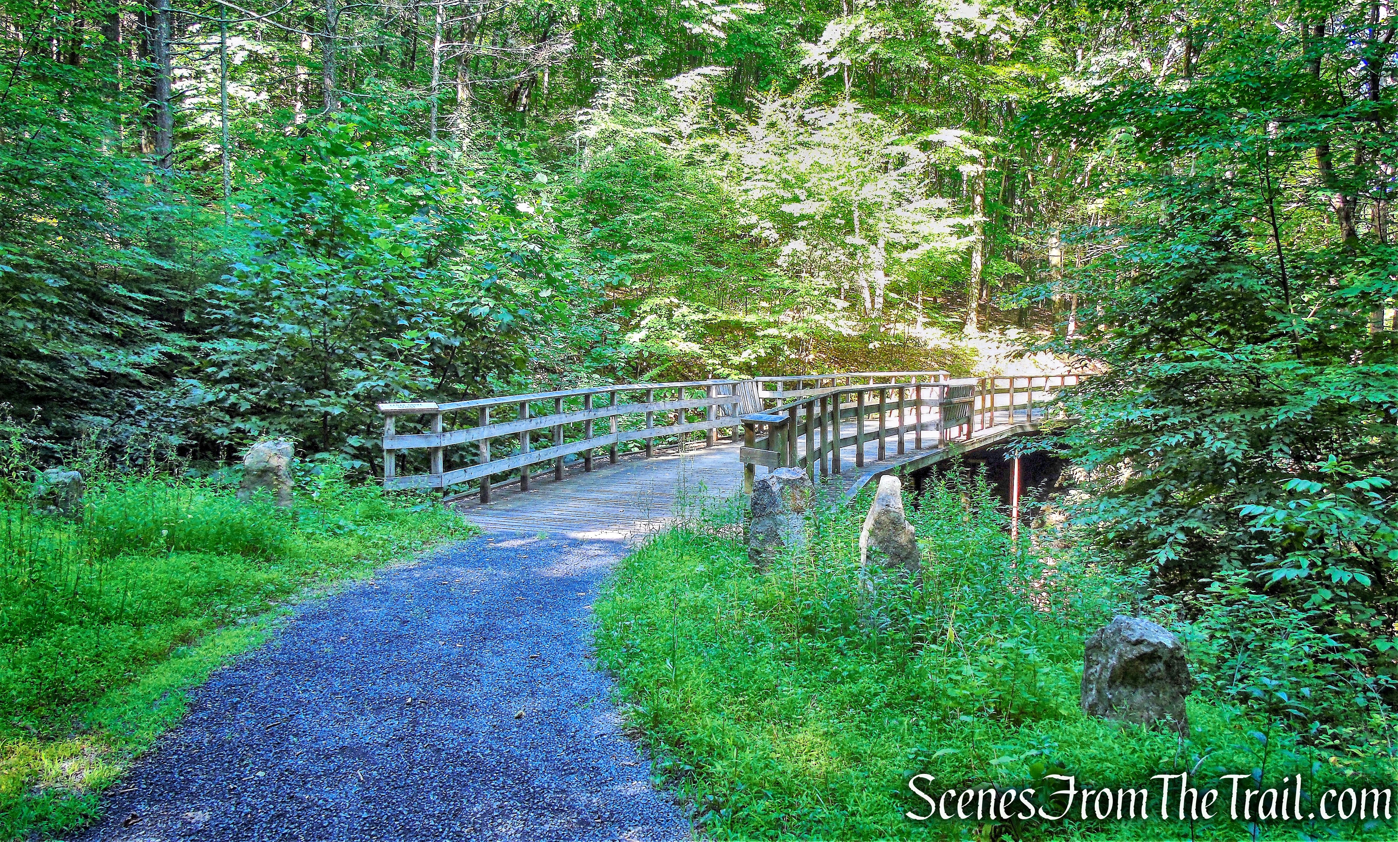 Cedar Drive Bridge