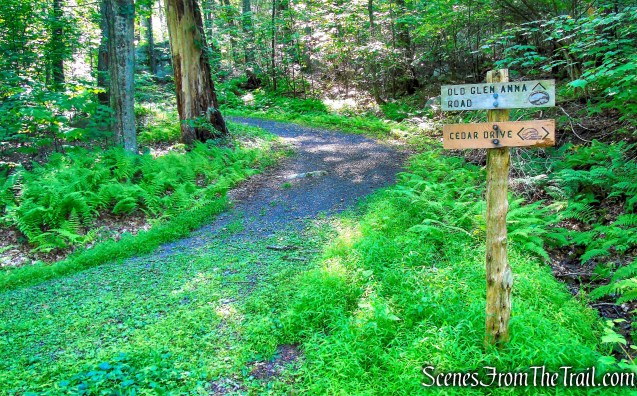 turn left on Glen Anna Road